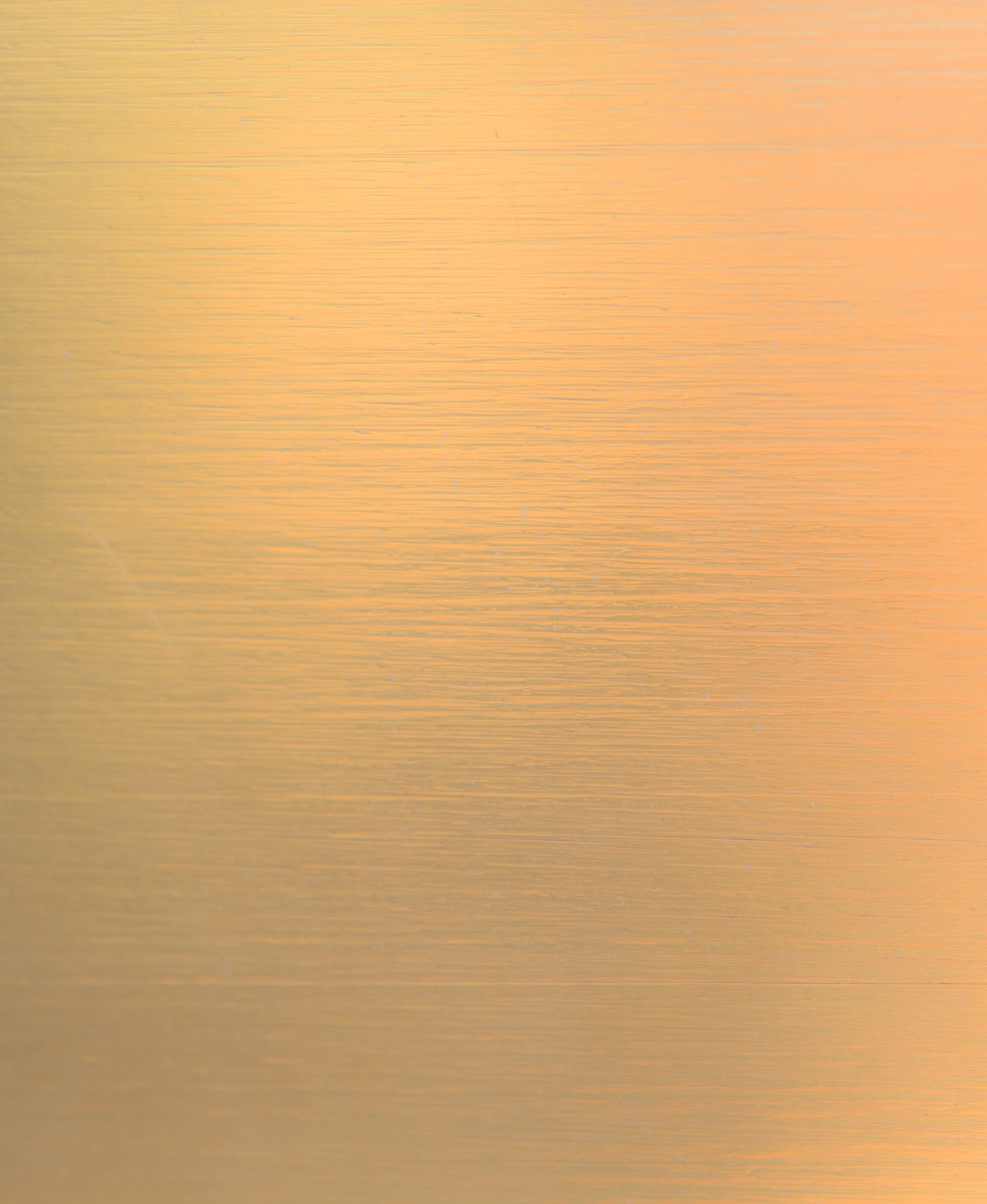 样品喷金后怎么去掉