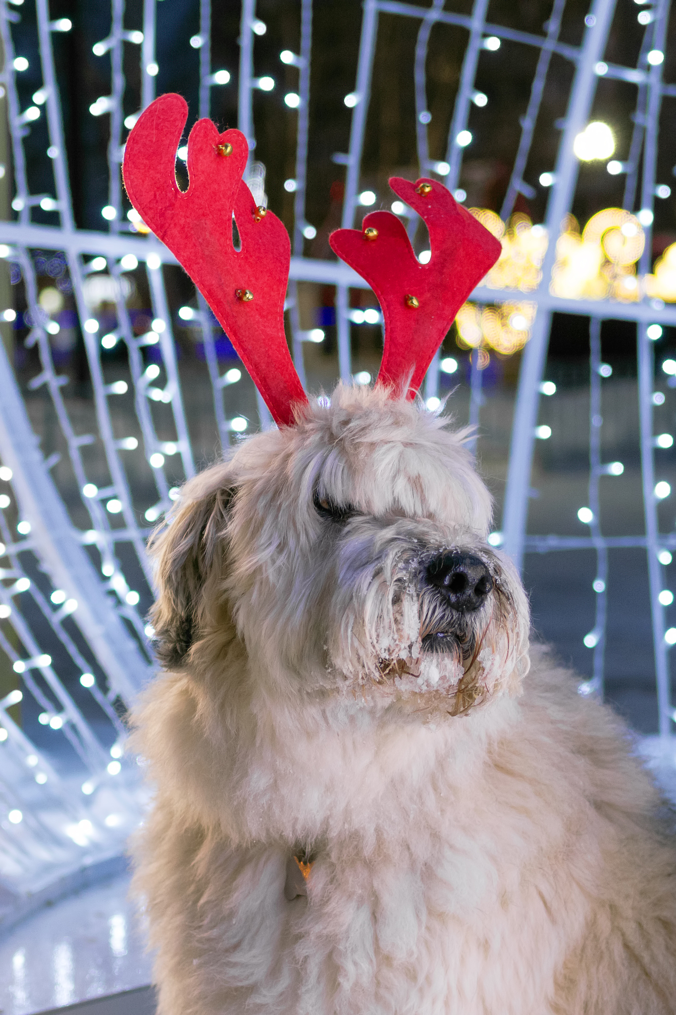 将界首市颍南街道基础设施规划规划要点写成一个不少于500字的自然段