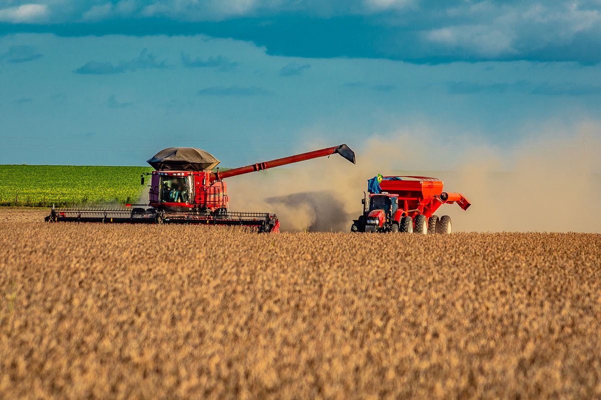 粮食安全：中国储备2年15亿人口粮，乡镇复耕背后的思考