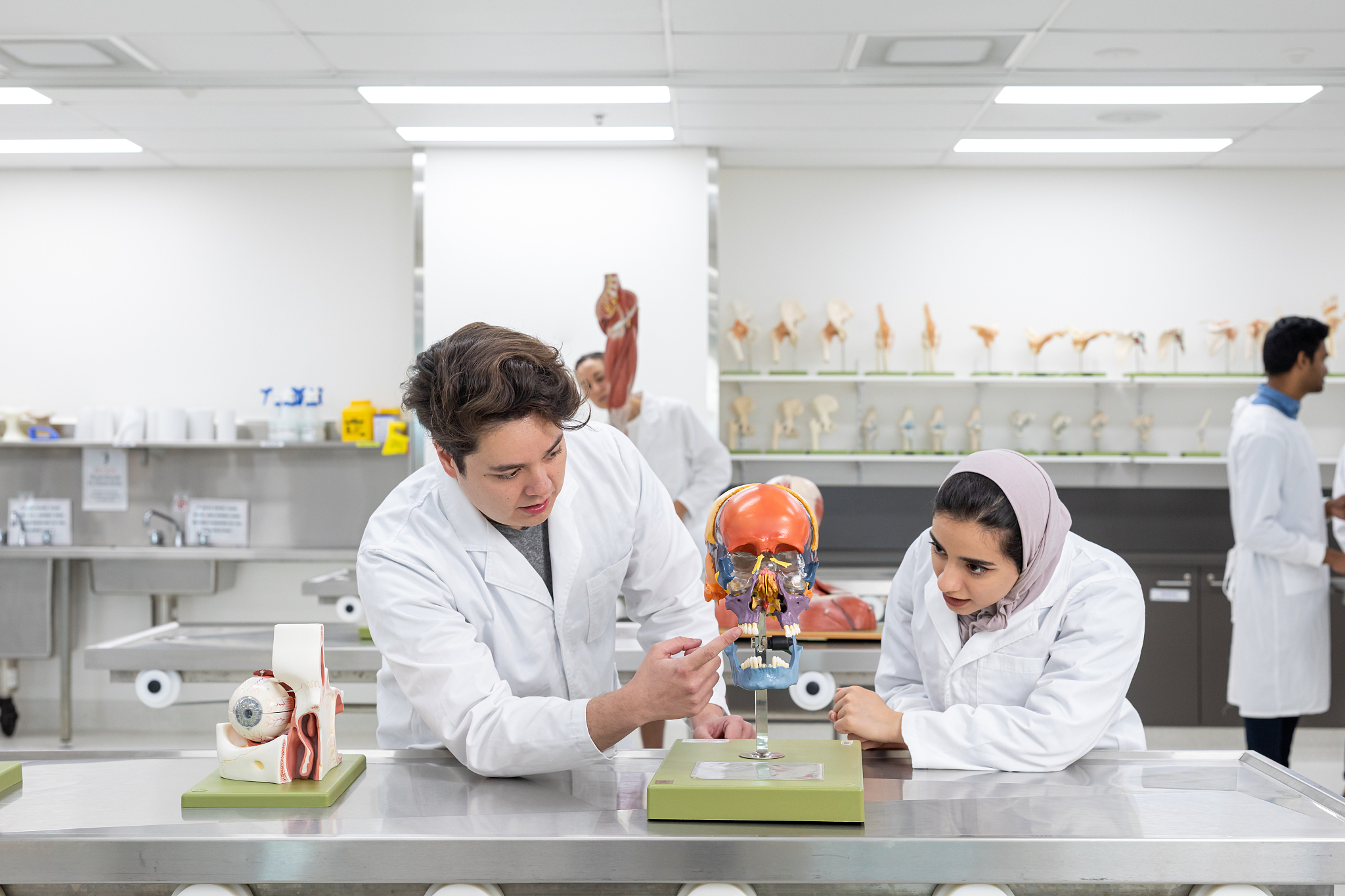 安徽卫校有哪些学校