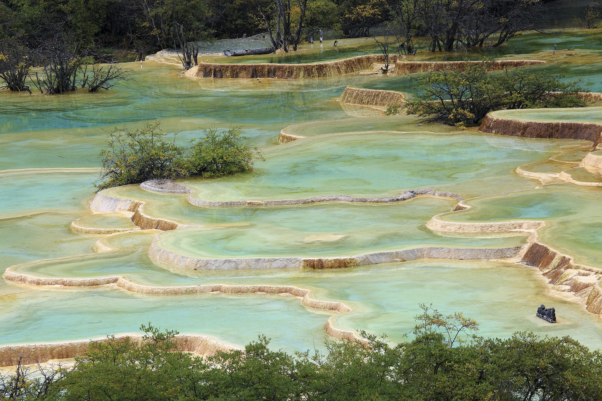 四川省哪些高职院校有汽车营销专业