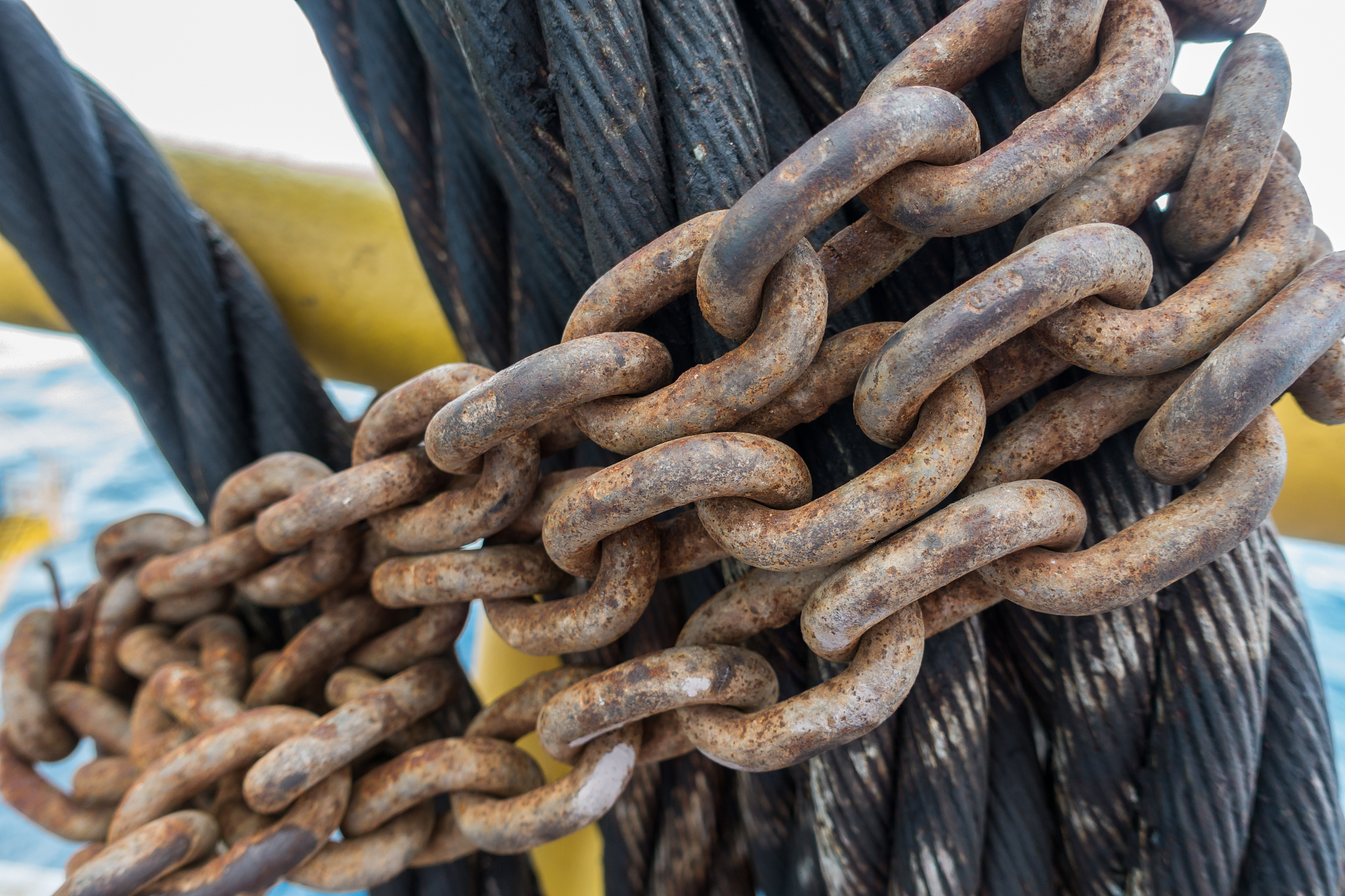 重庆市卫生技工学校中药专业好不好学呢开设了哪些课程