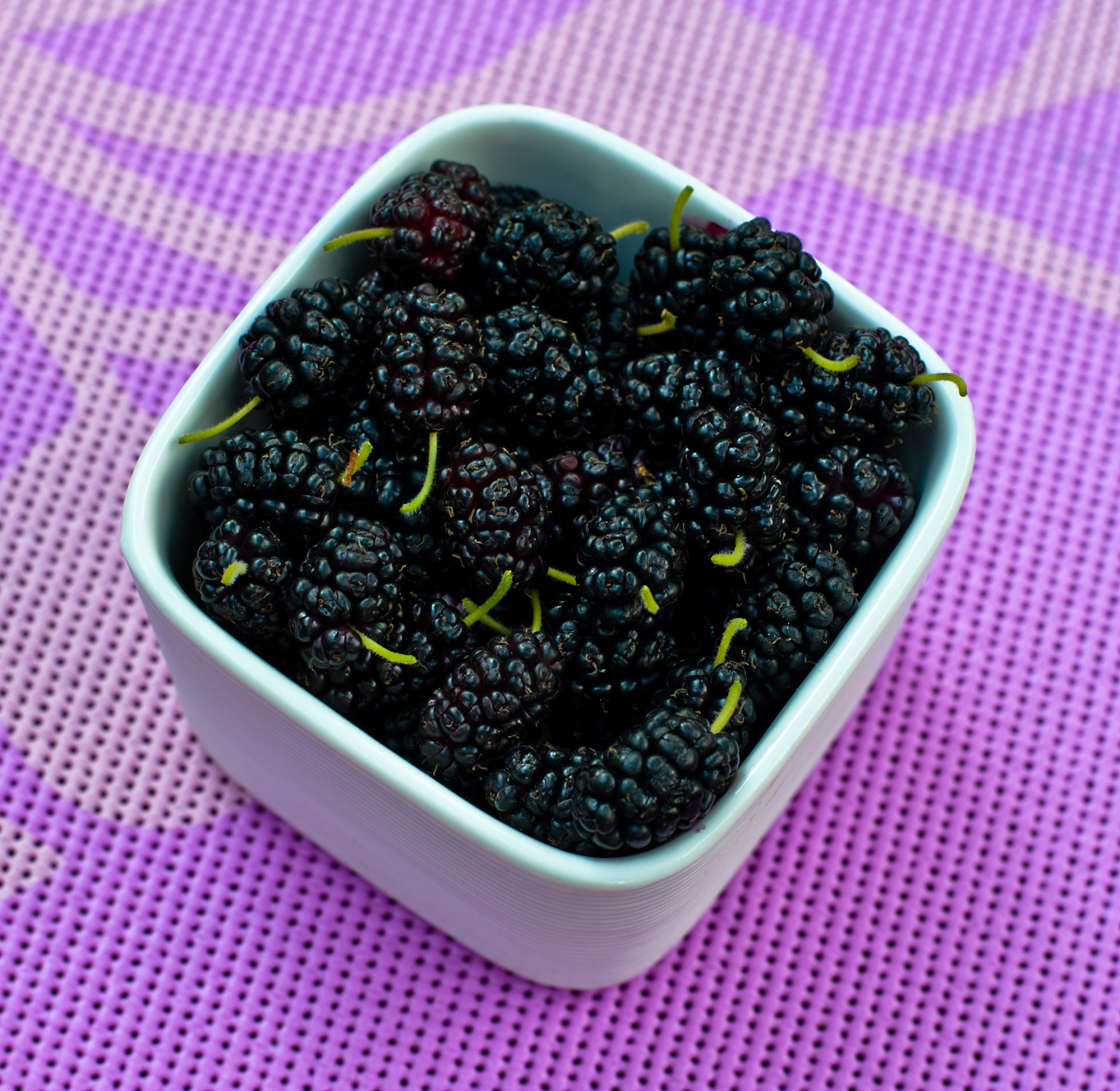 探索航天菌长寿免疫上市，为补充能量提供新选择
