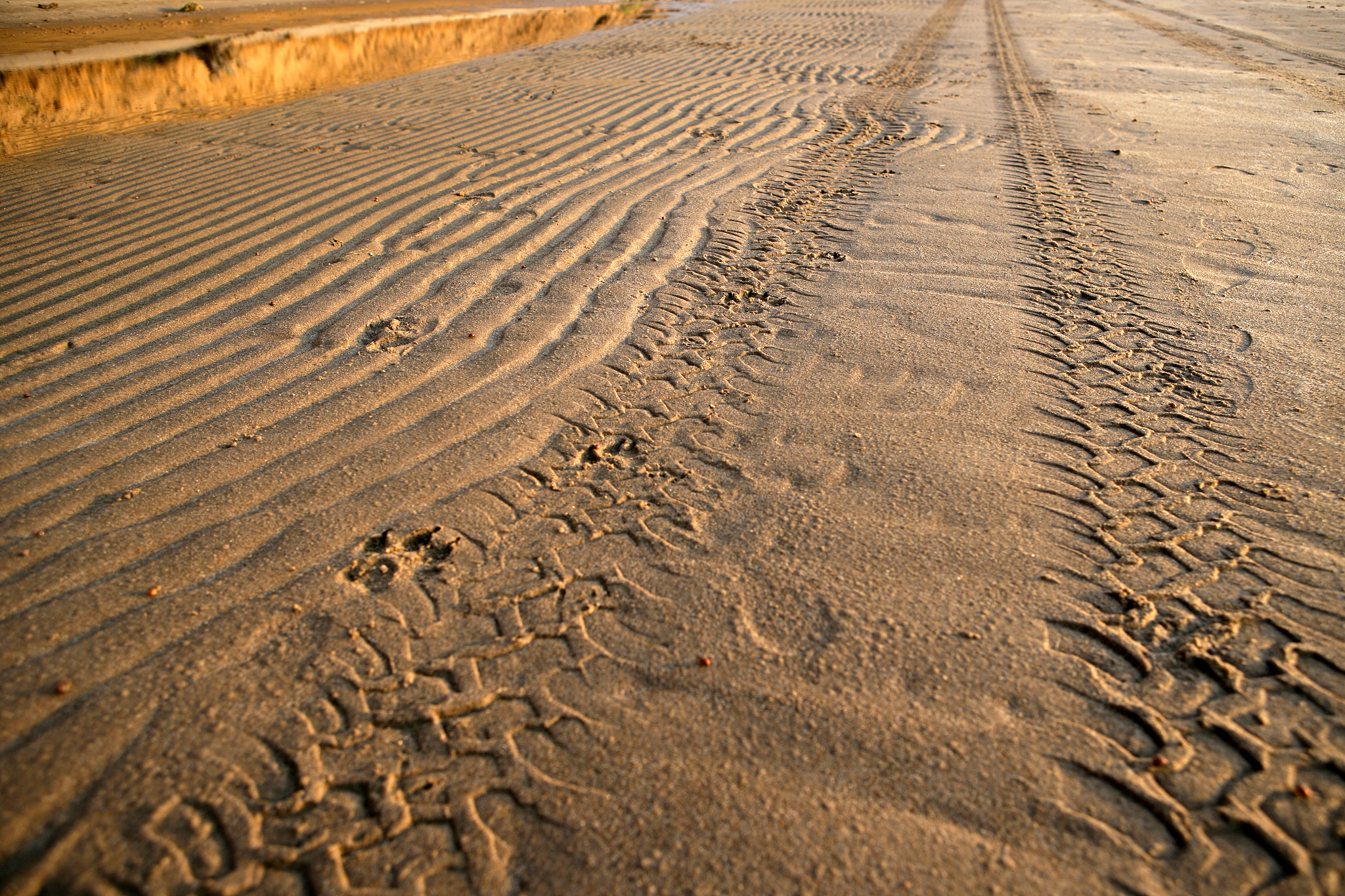 tyre tracks on a sandy beach