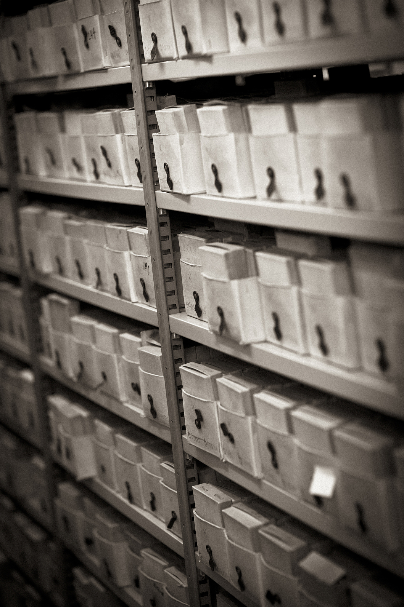 贵阳档案数字化整理公司 - 专业档案扫描、数据录入、文档管理