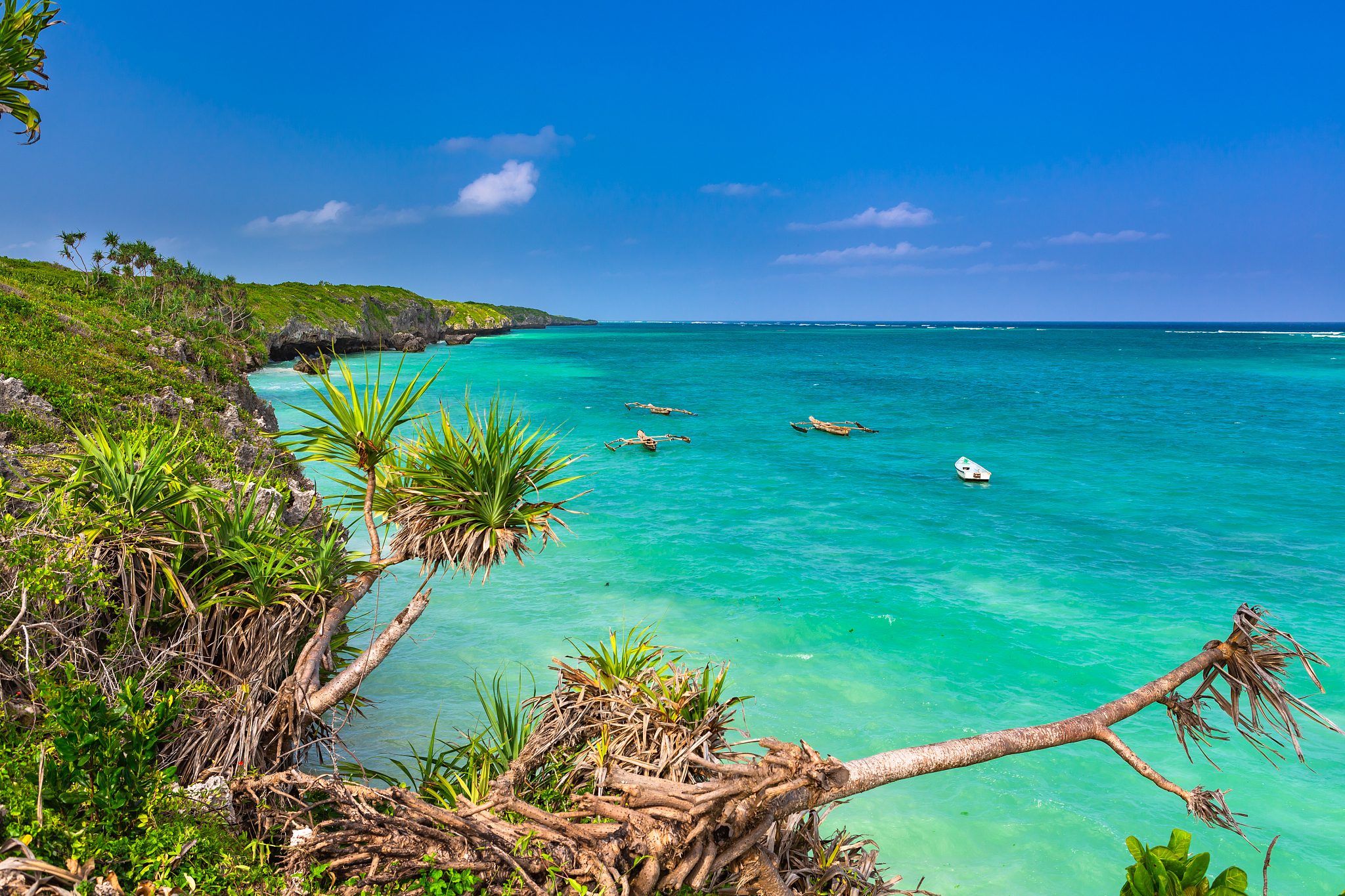beach view. zanzibar, tanzania.