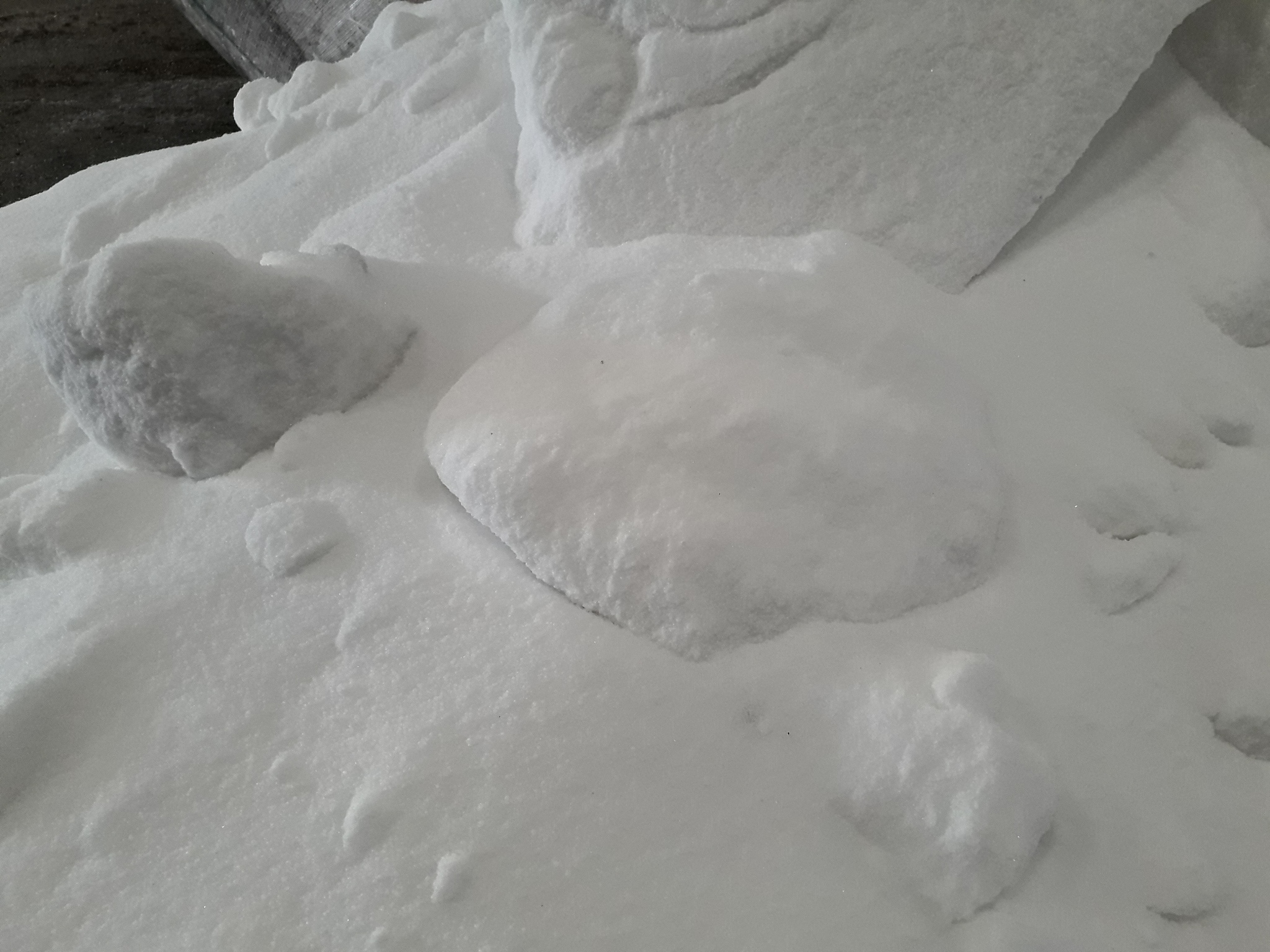 human 以下不属于天然胶粘剂的是。1纤维素。2木质素。3松香。4淀粉。;