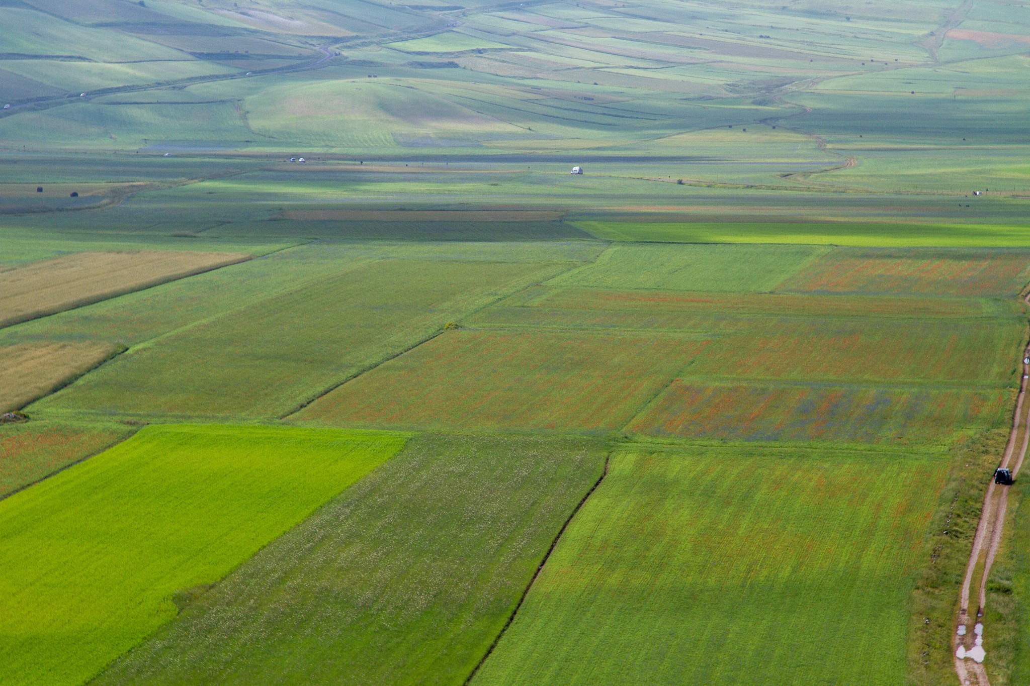 castelluccio di norcia and its flowering