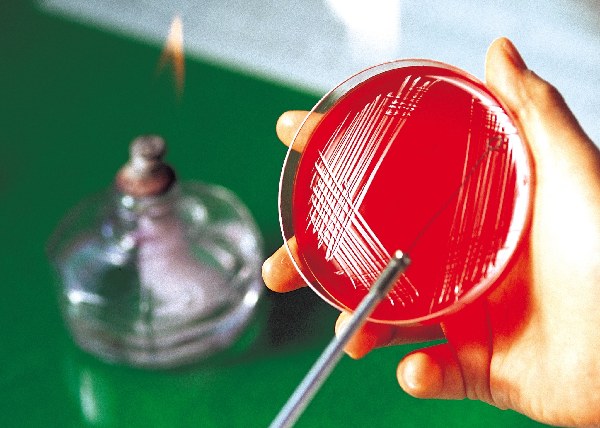 毛皮摩擦玻璃棒带正电：原理、电压与存储