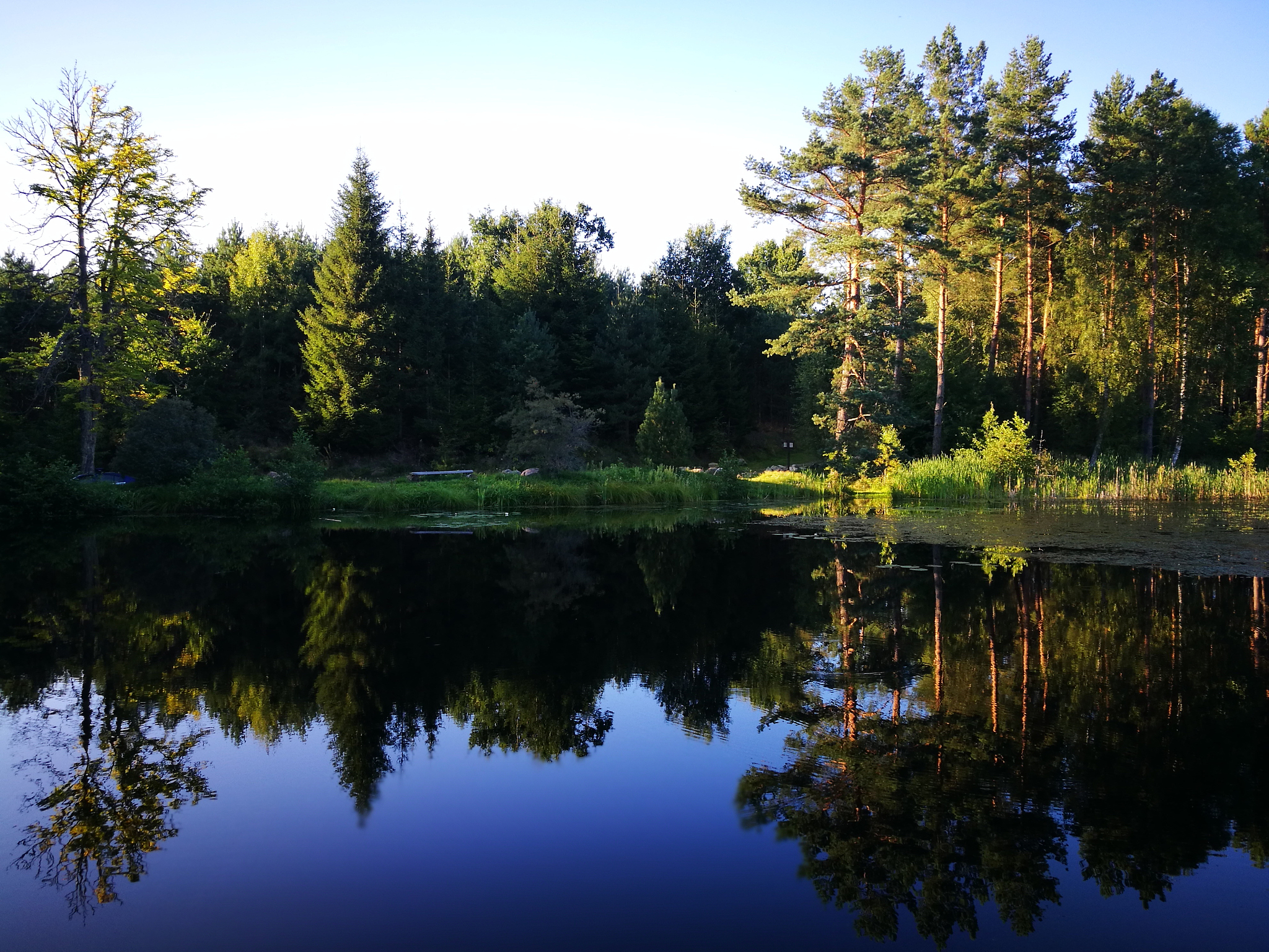 错落有致映湖光