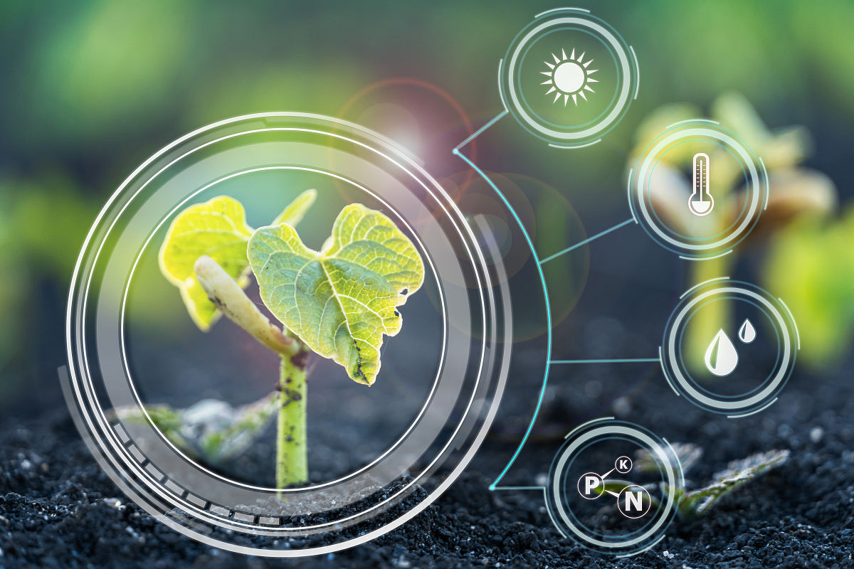 曲靖农业学校2019年五年制大专招生电话 - 报名时间、地点及课程信息