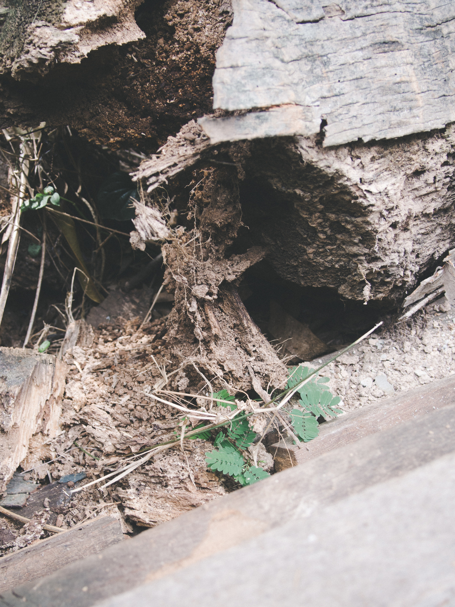 白蚁普查服务合同违约责任及赔偿条款解读