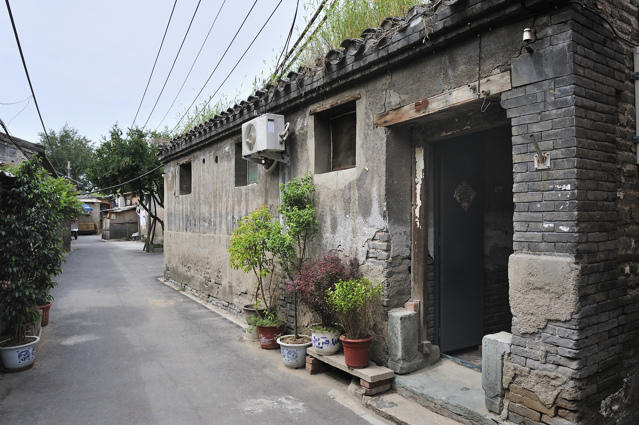 以李清照的风格诗意地写一个诗人在北京胡同的故事