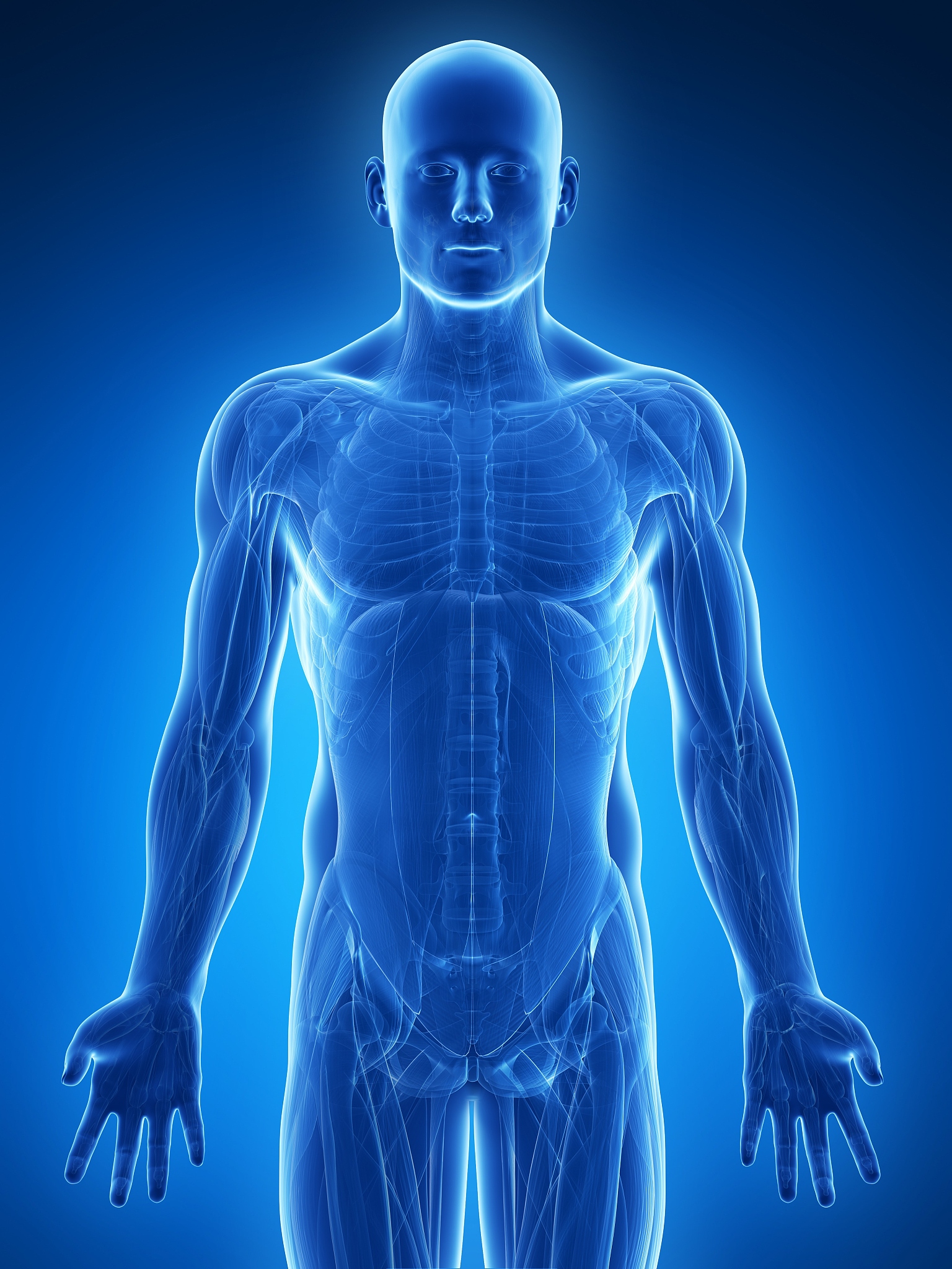 2015年上技校学什么专业好？