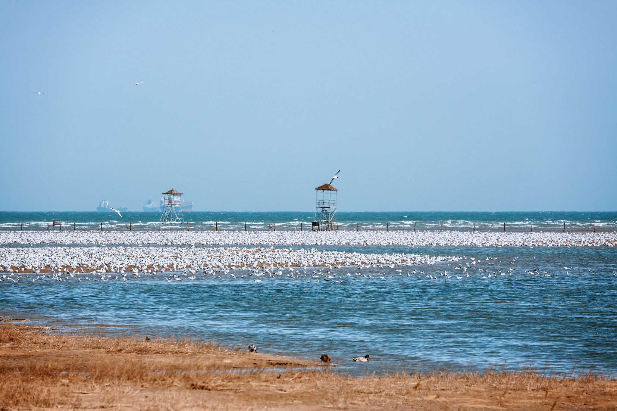 秦皇岛2022年医学院校就业推荐：秦皇岛医学院优势解析