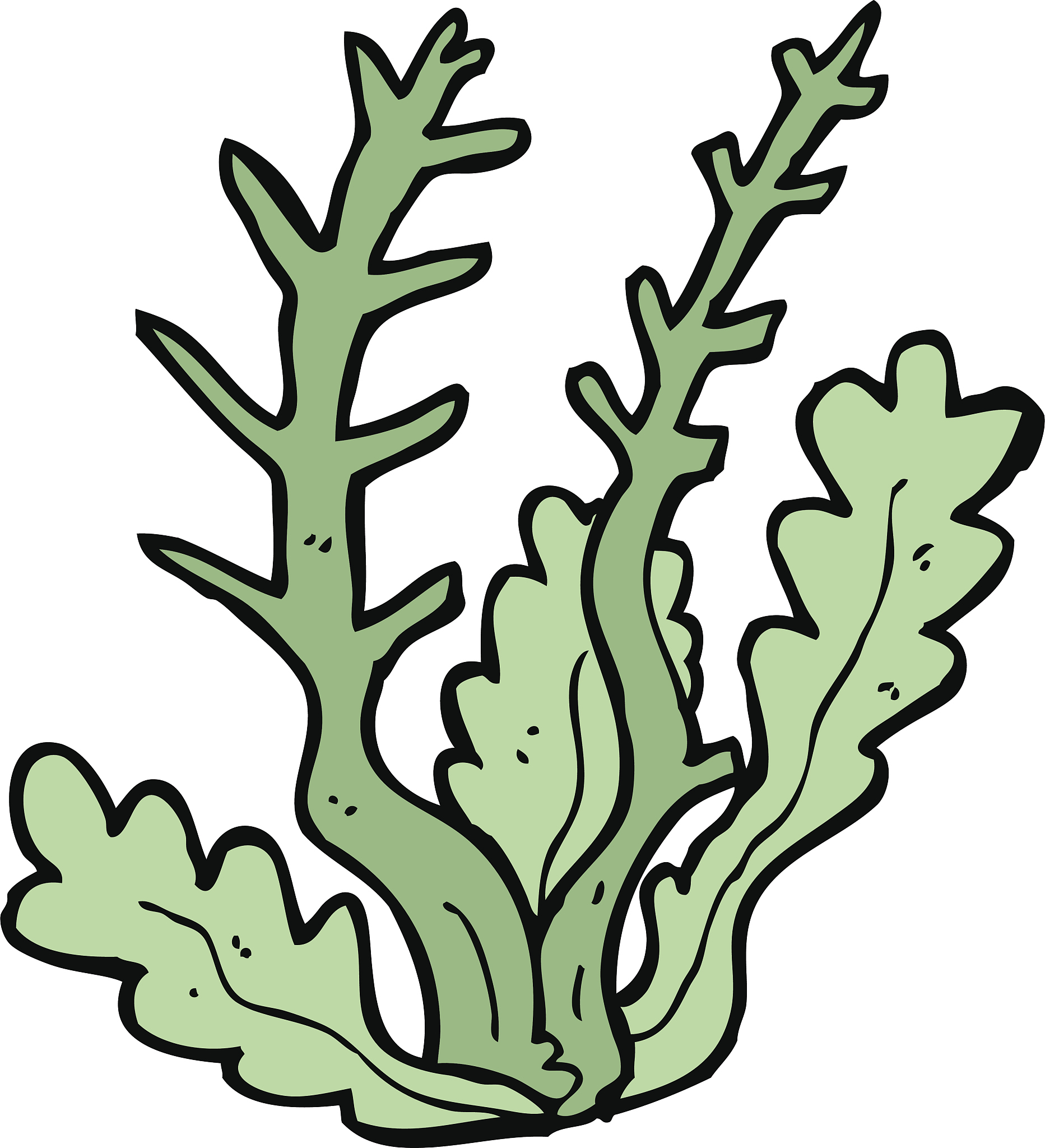 cartoon seaweed