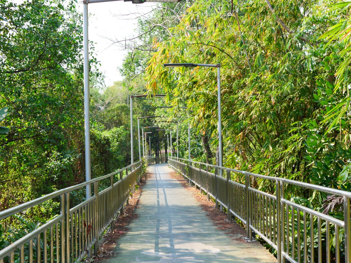 奔赴春天的旅行# 春日里,踏入广州天鹿湖森林公园,是一次心灵与自然