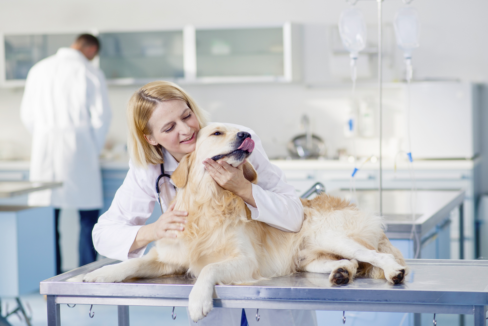 重庆市荣昌区职业教育中心宠物护养与经营专业如何好学吗