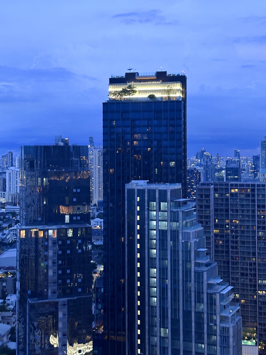 You are writing a service auditing report for The Ritza-Carlton Hotel Shanghai Pudong Now I need you to write an introduction for this report for about 400 words In the introduction part you need to i