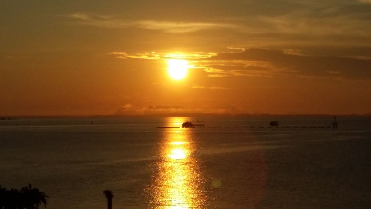 天津看日出的地方