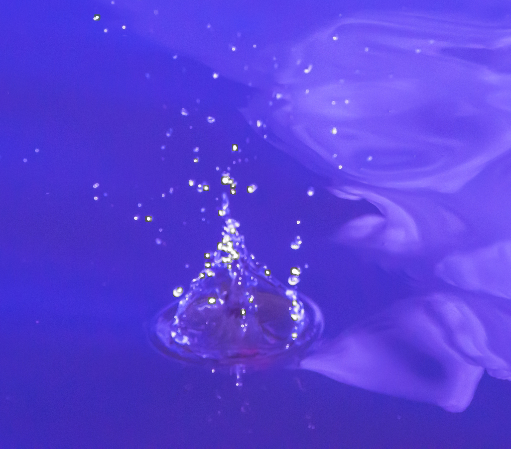 水花之美：仿写'一朵朵很美很美的水花'赏析