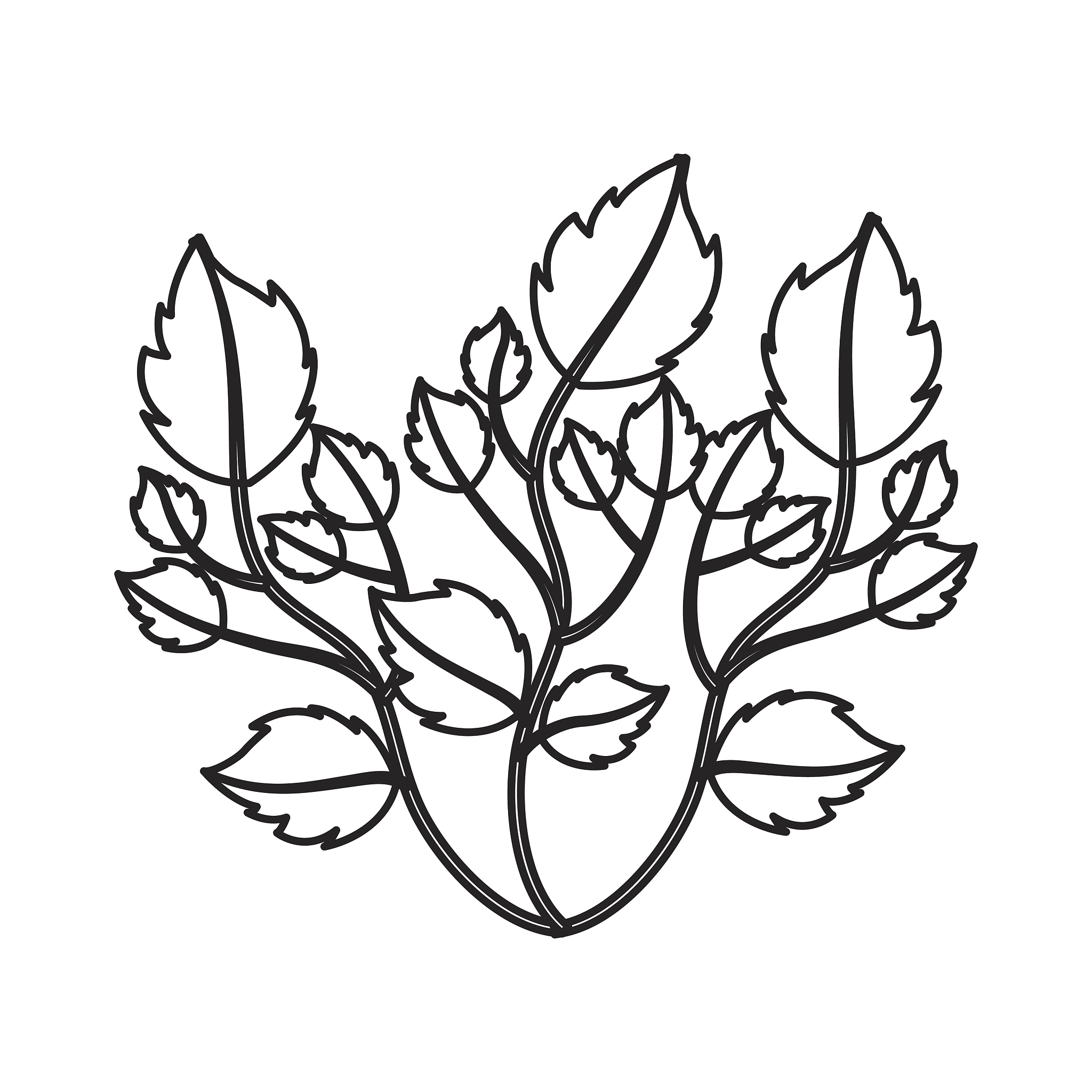 杨凌职业技术学院植物保护与检疫技术专业前景分析：就业、薪资、发展趋势