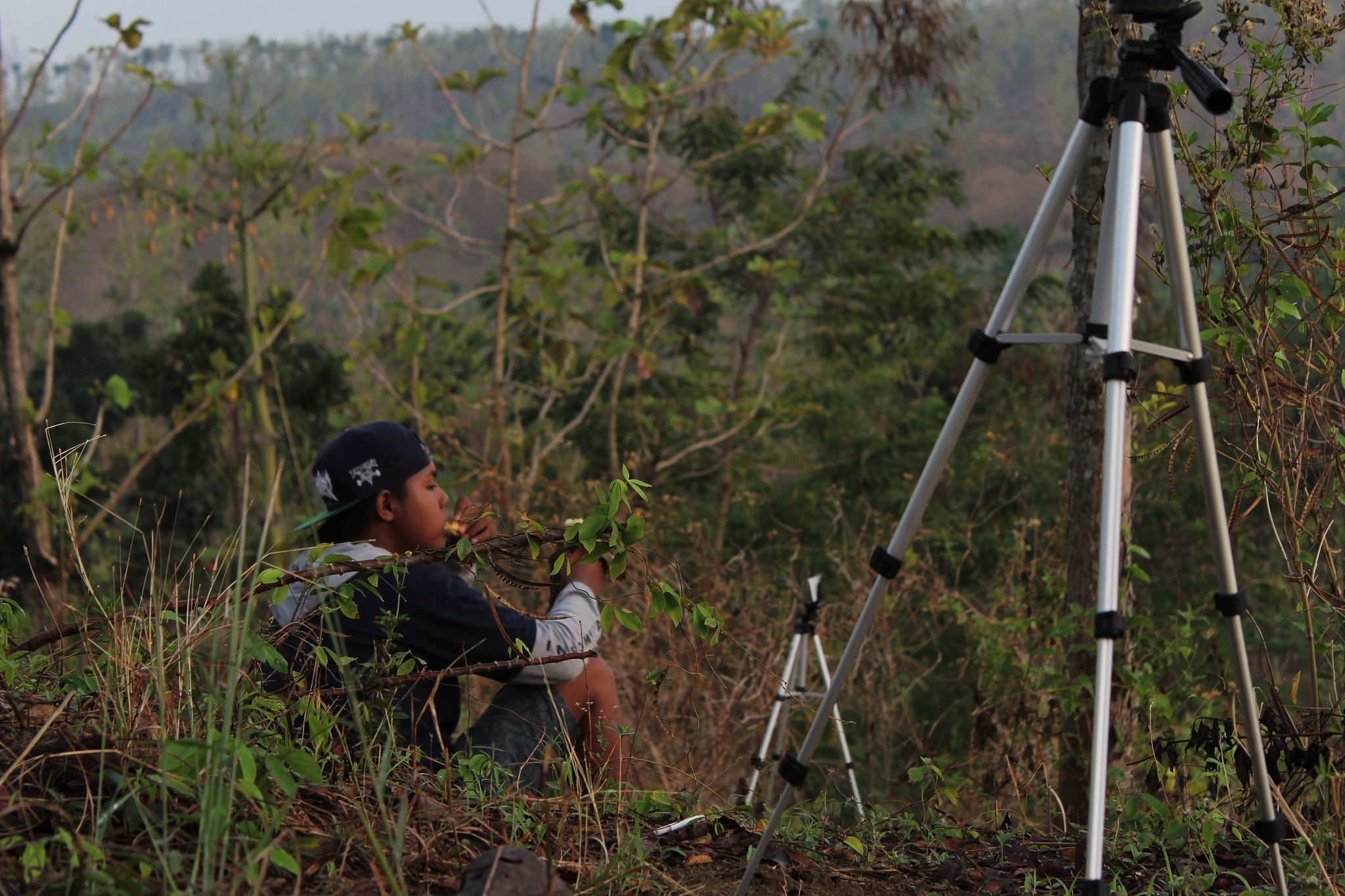 side view of young man sitting by tripod on field in forest