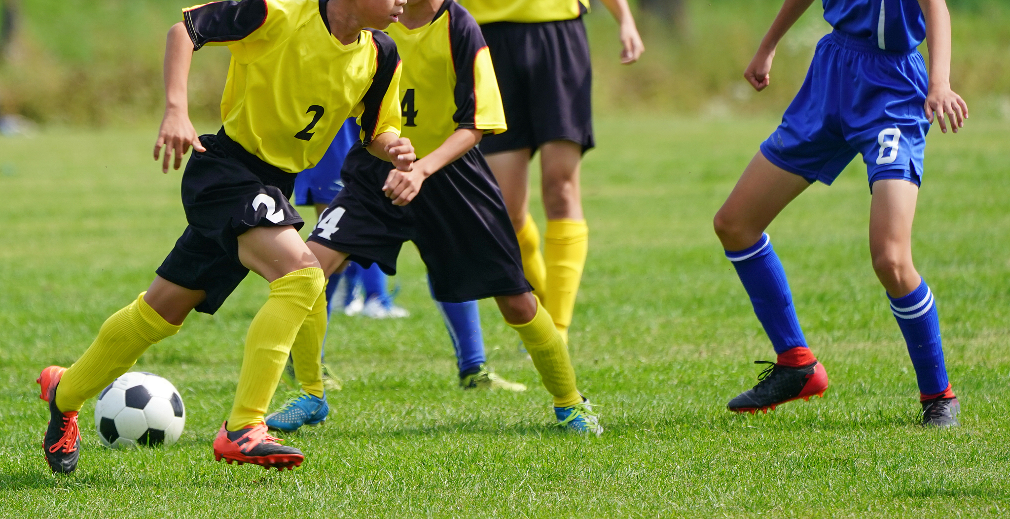 soccer