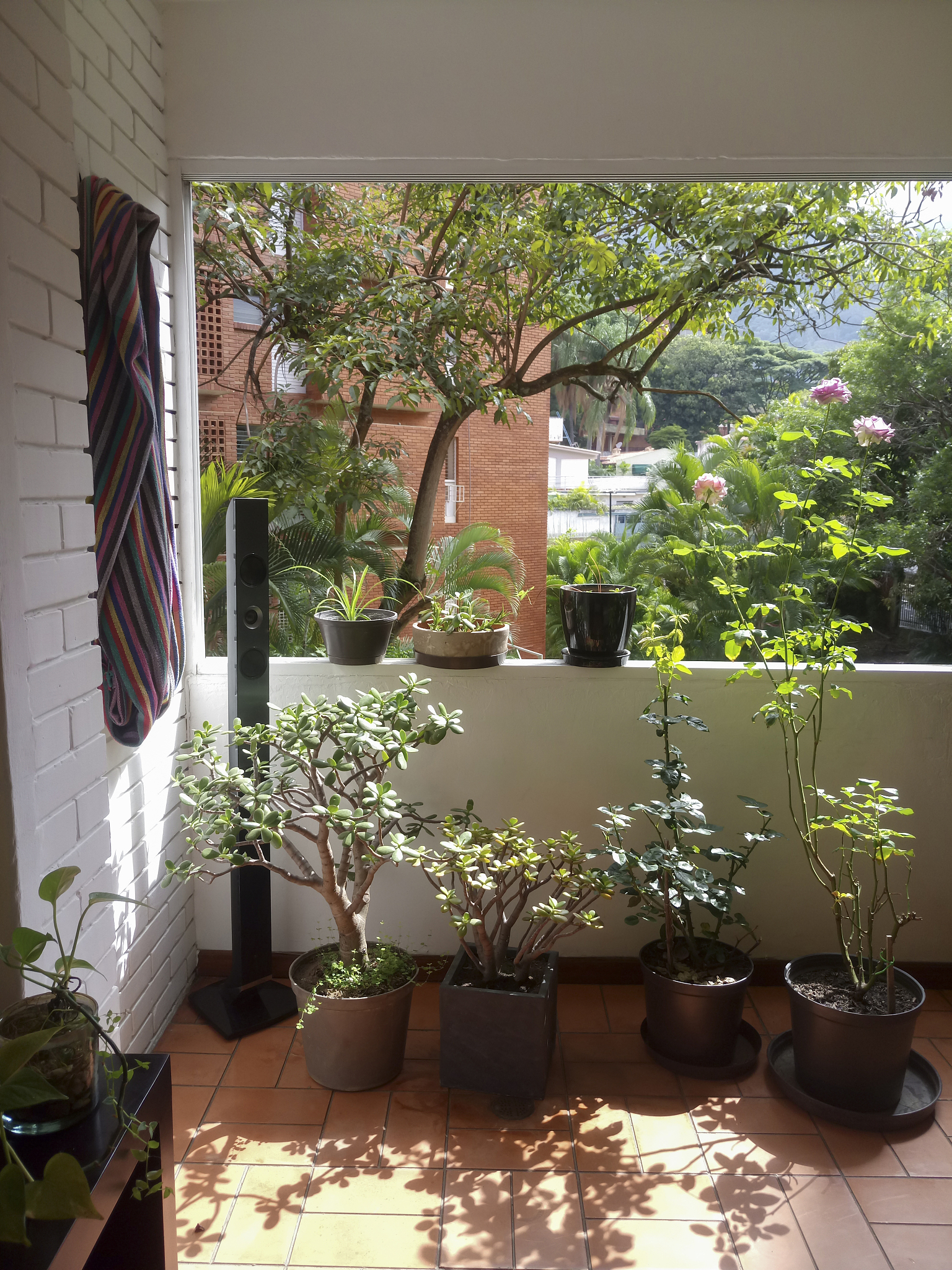 爆改阳台！简约设计，打造高颜值休闲空间