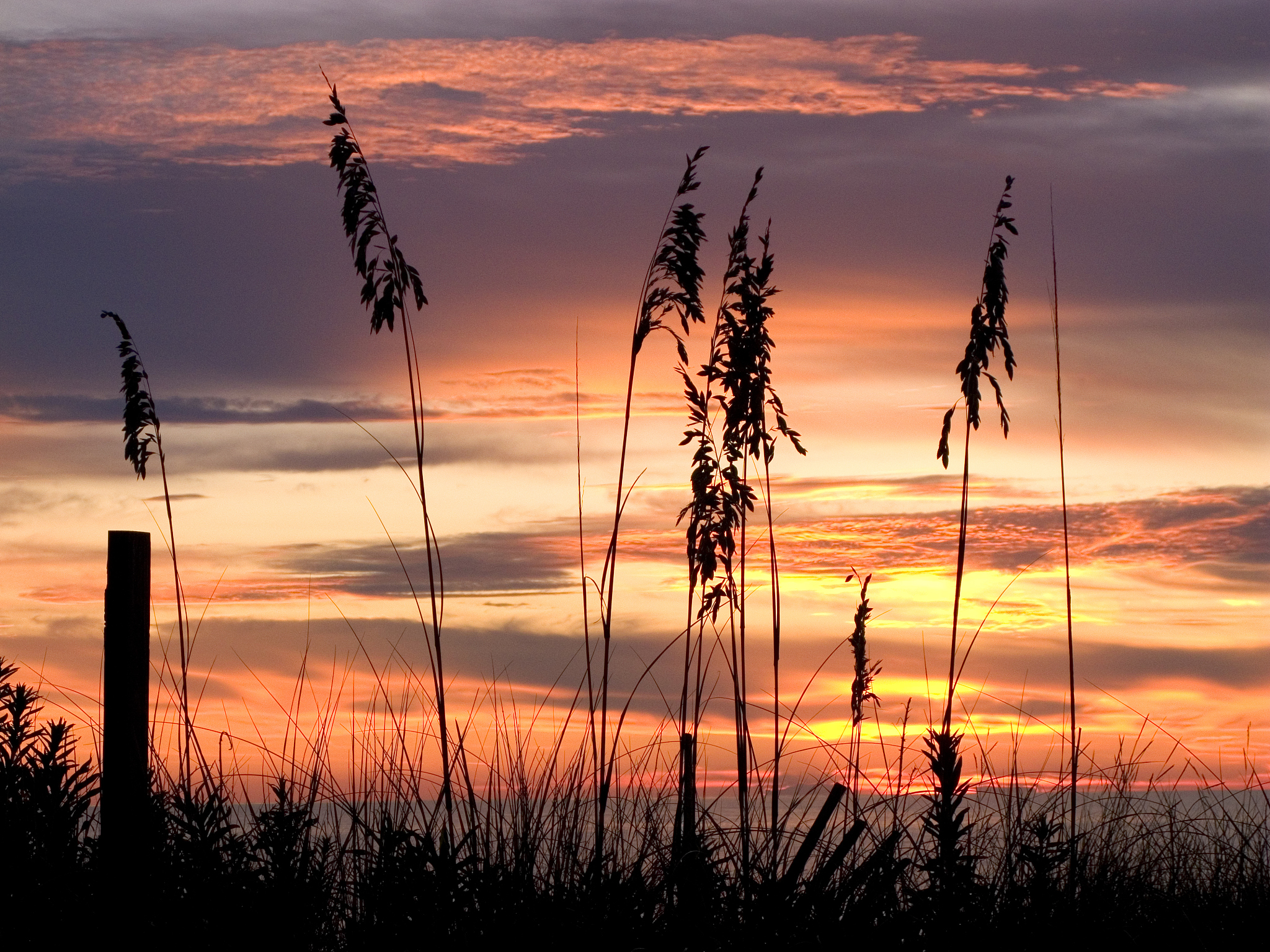 sunrise / sunset over ocean & beach with dunes & sea oats