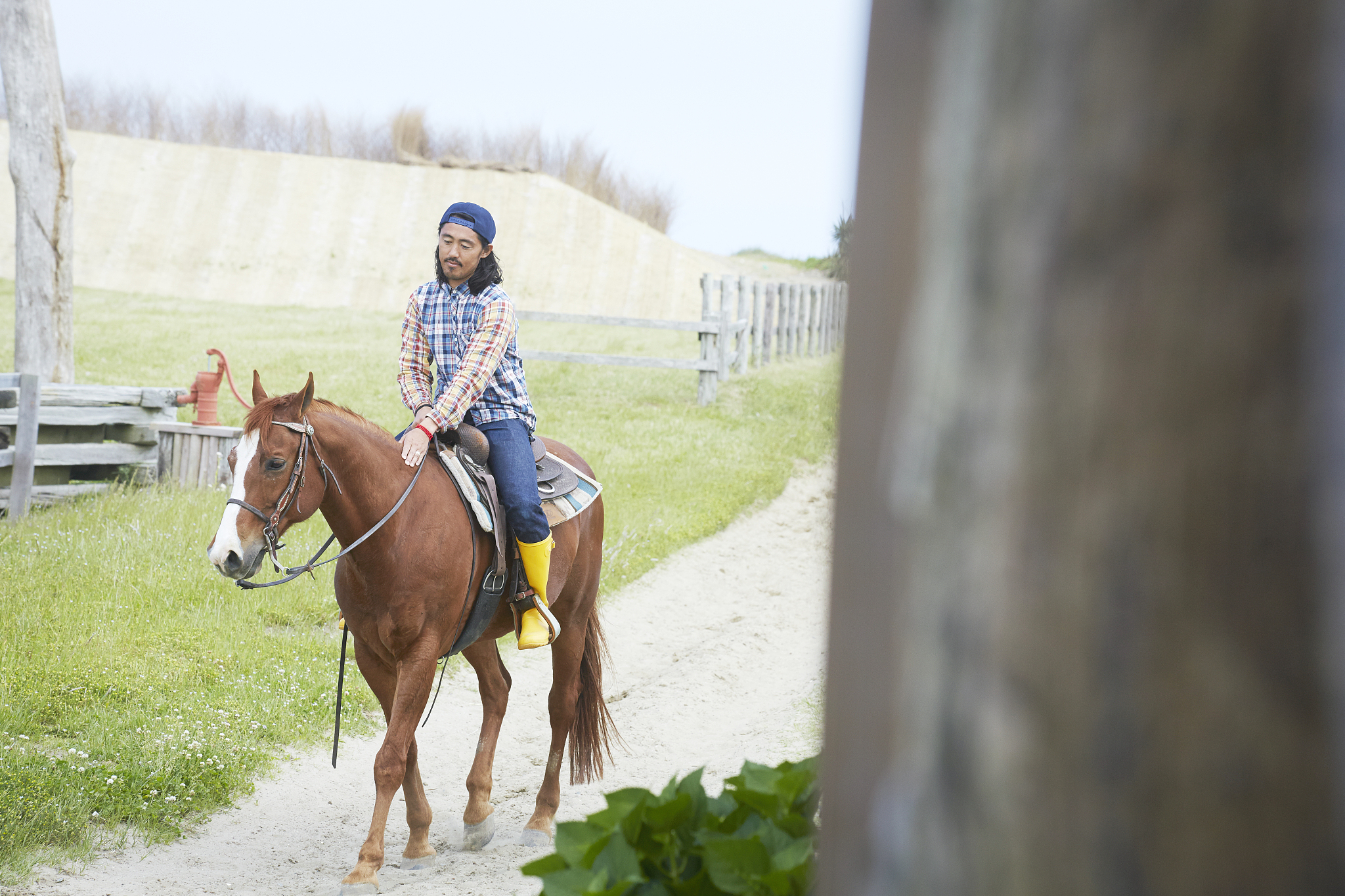 哺乳动物睡眠时长：用脑强度与睡眠时间的关系