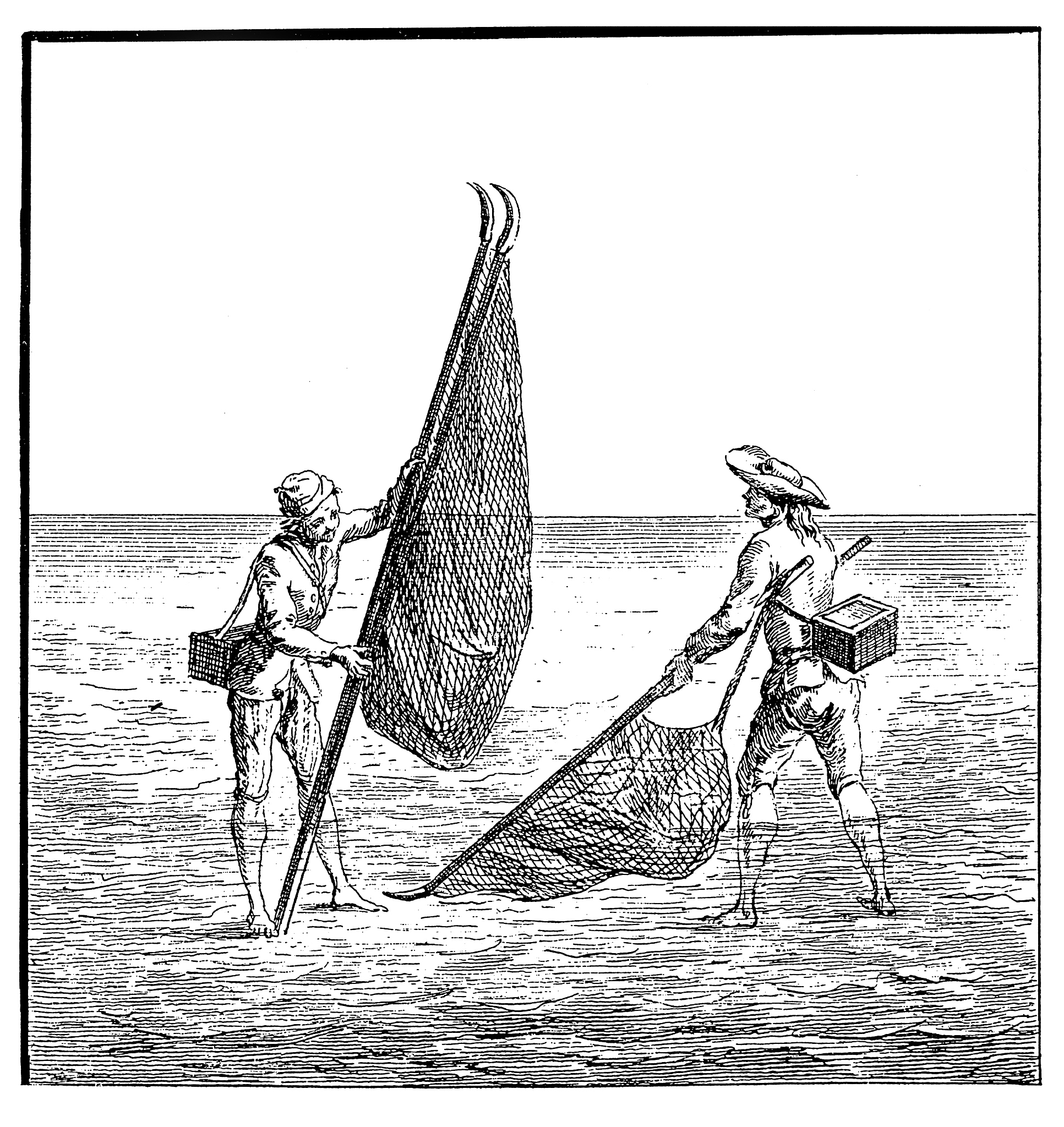 《老人与海》中的专业术语：10个常见词汇解析