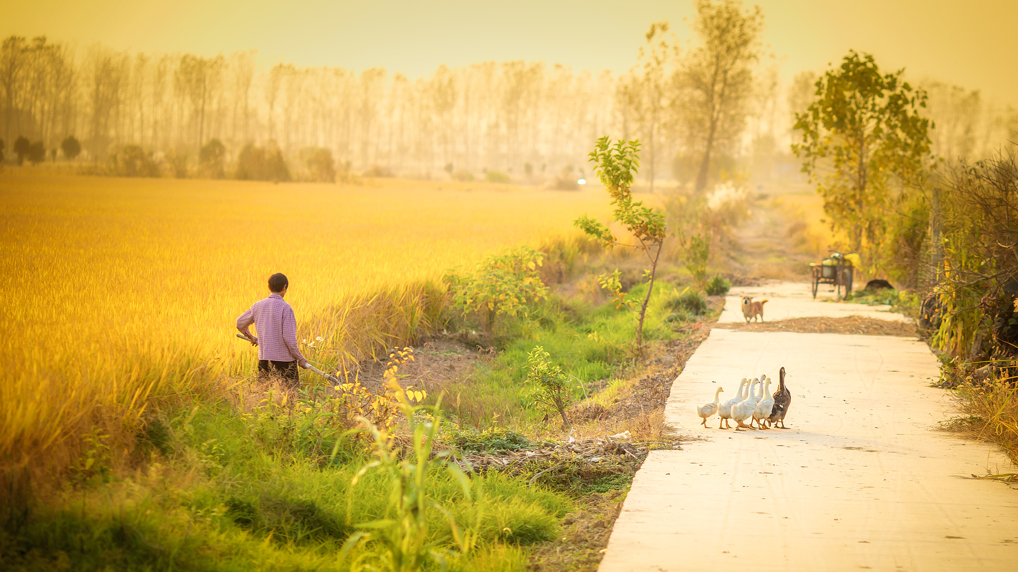 探寻孤独中的美：<一个人的村庄>与黄沙梁乡村美学