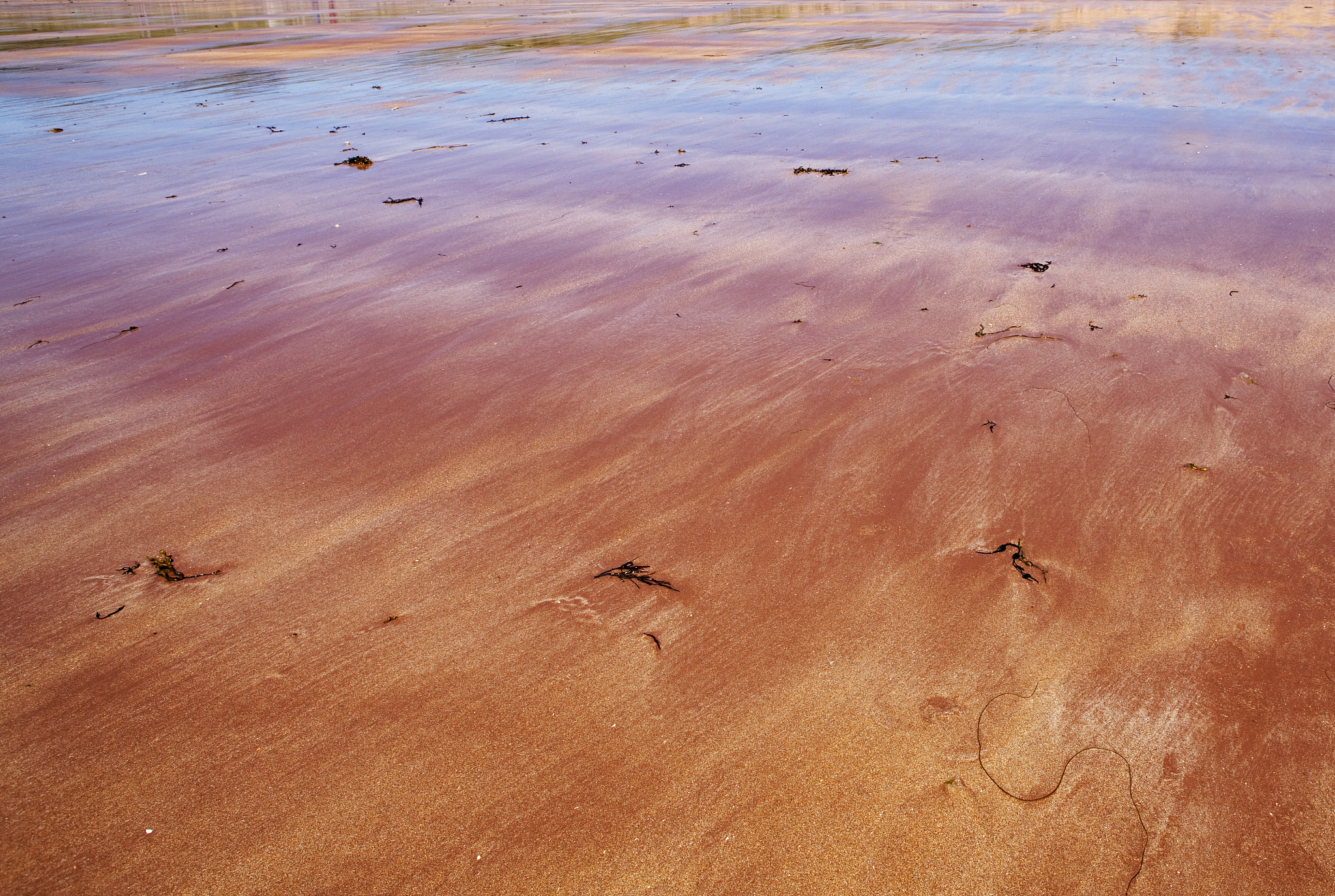 广东惠州红海湾泥沙特征