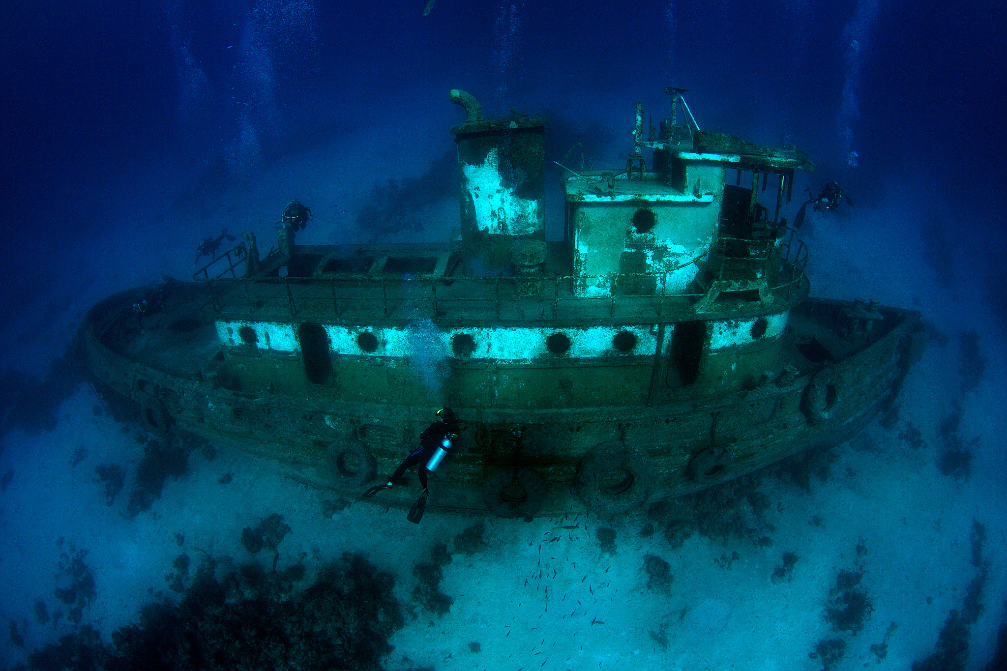 bahamas shipwreck