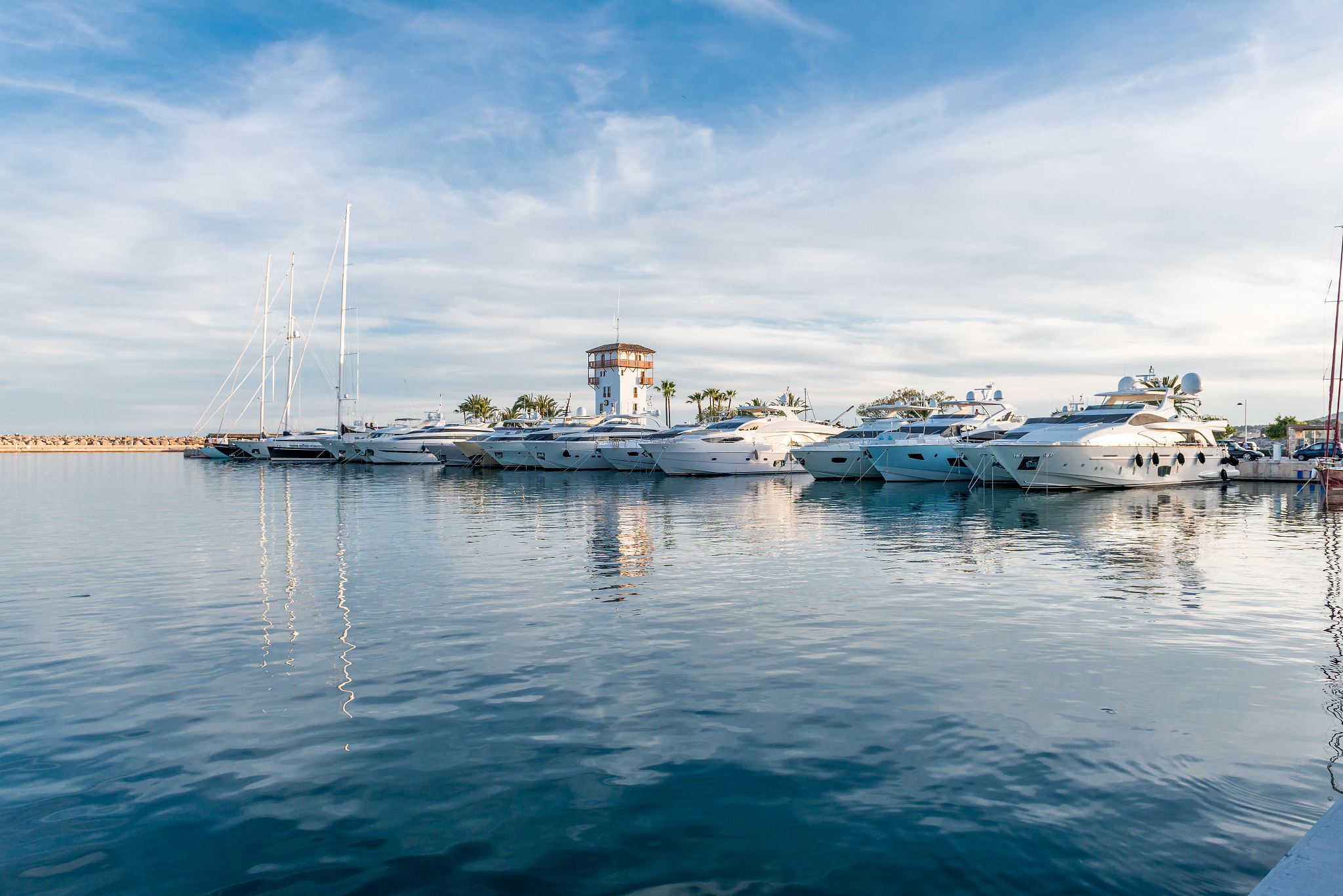 view of marina with boats