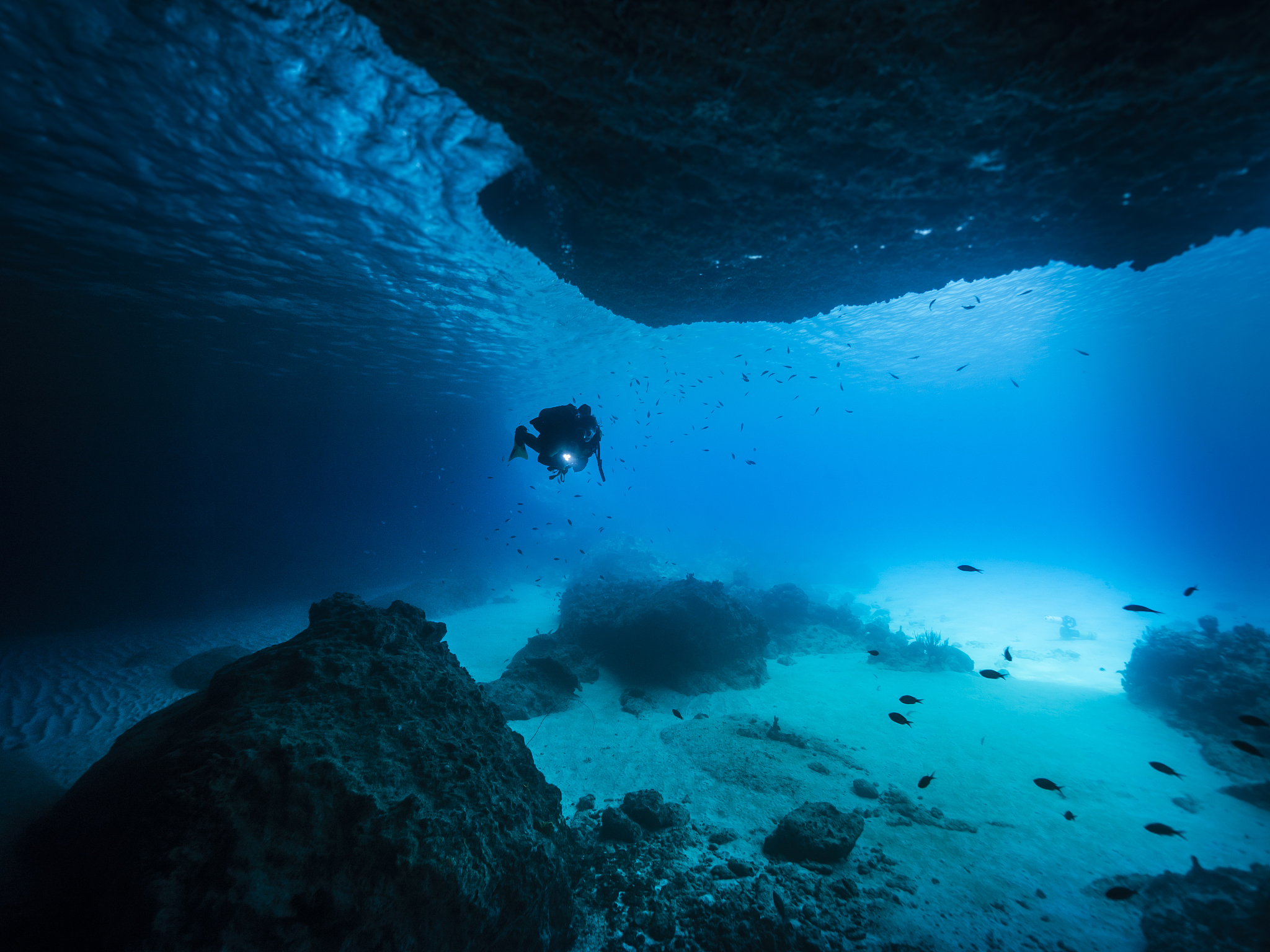seascape of coral reef in the caribbean sea around curacao at di