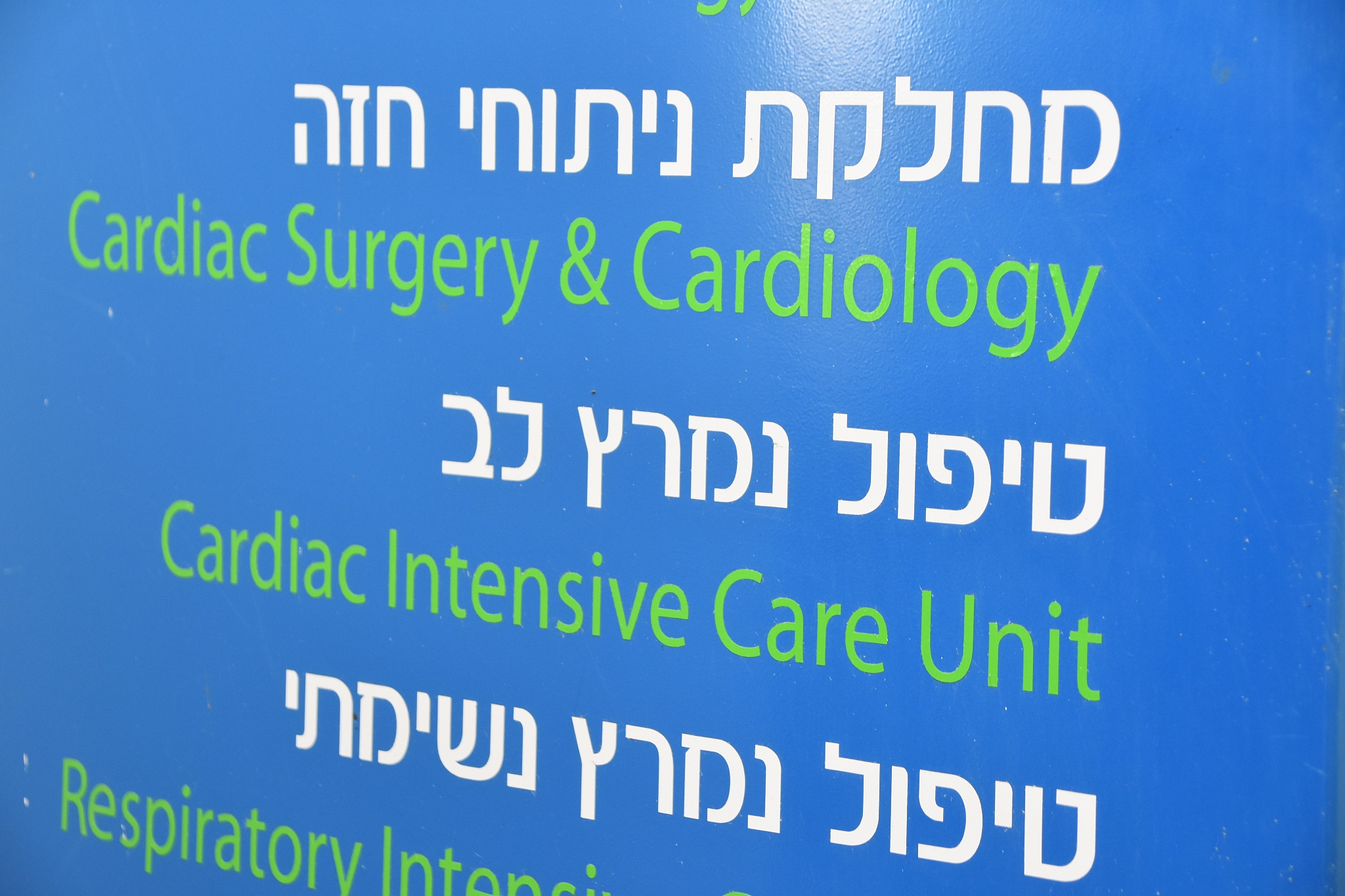 我是蚌埠医学院的护理本科生，跨考的复旦大学的公共卫生与预防医学专业。本科获过校级二等奖学金、三等奖学金，获得过校级优秀团员、优秀志愿者、优秀班干部，参与过一个国家级大创，献血超过1000ml，通过六级，大一去过养老院，大二去给留守同学上课，疫情期间捐血并在社区当志愿者，大四在杭州师范大学附属医院实习，根据以上信息判断，做一个创意英文自我介绍，比如用三个形容词形容自己，