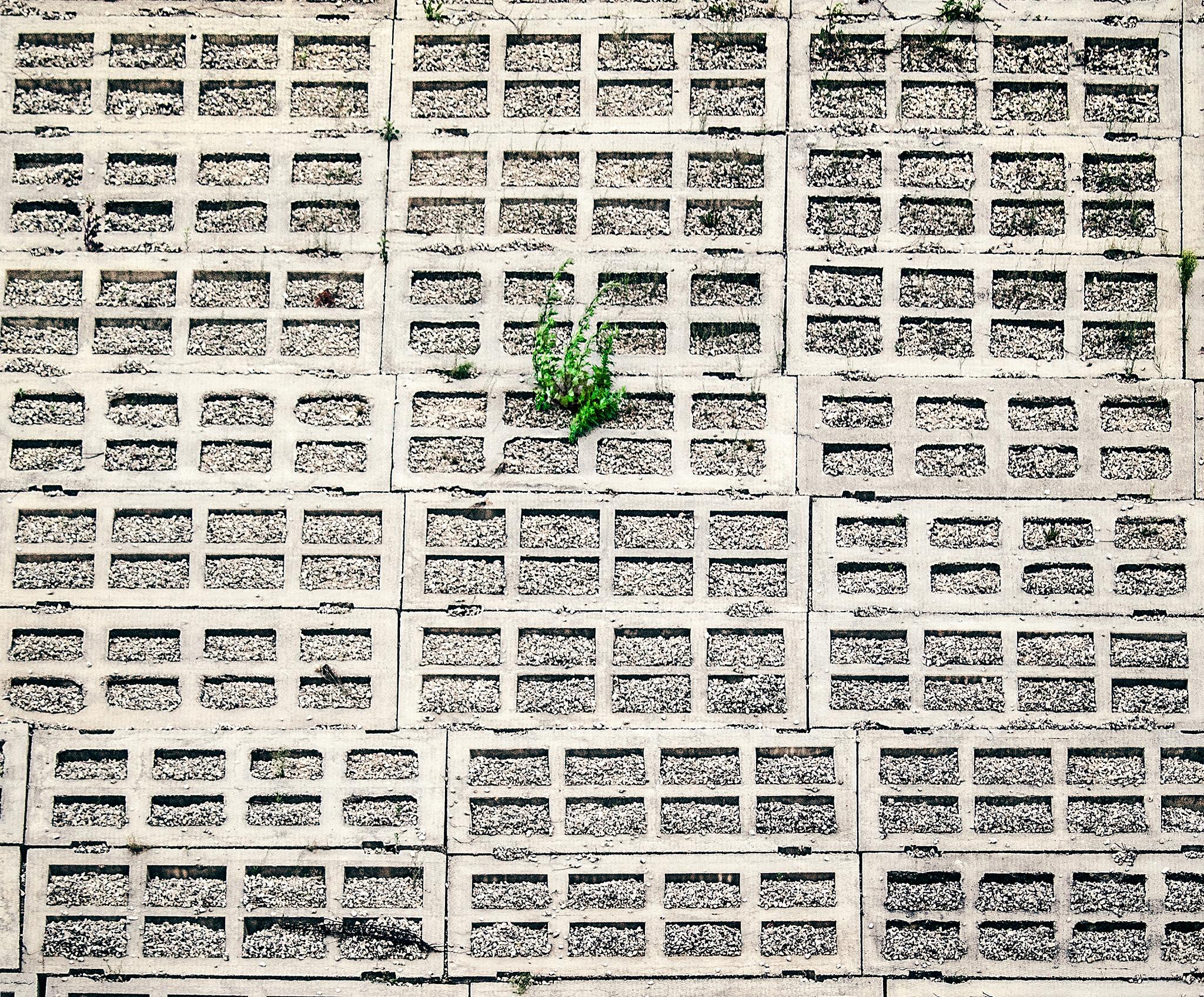 搭配效果的成语：10个常用成语及解释