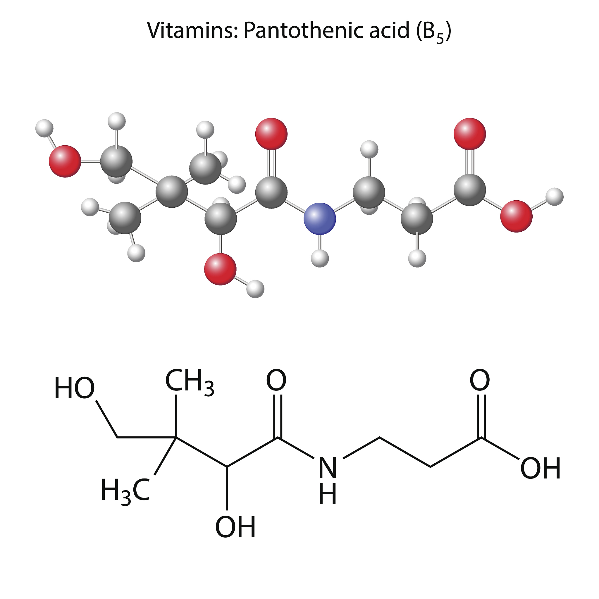 pantothenic acid molecule - vitamin b5