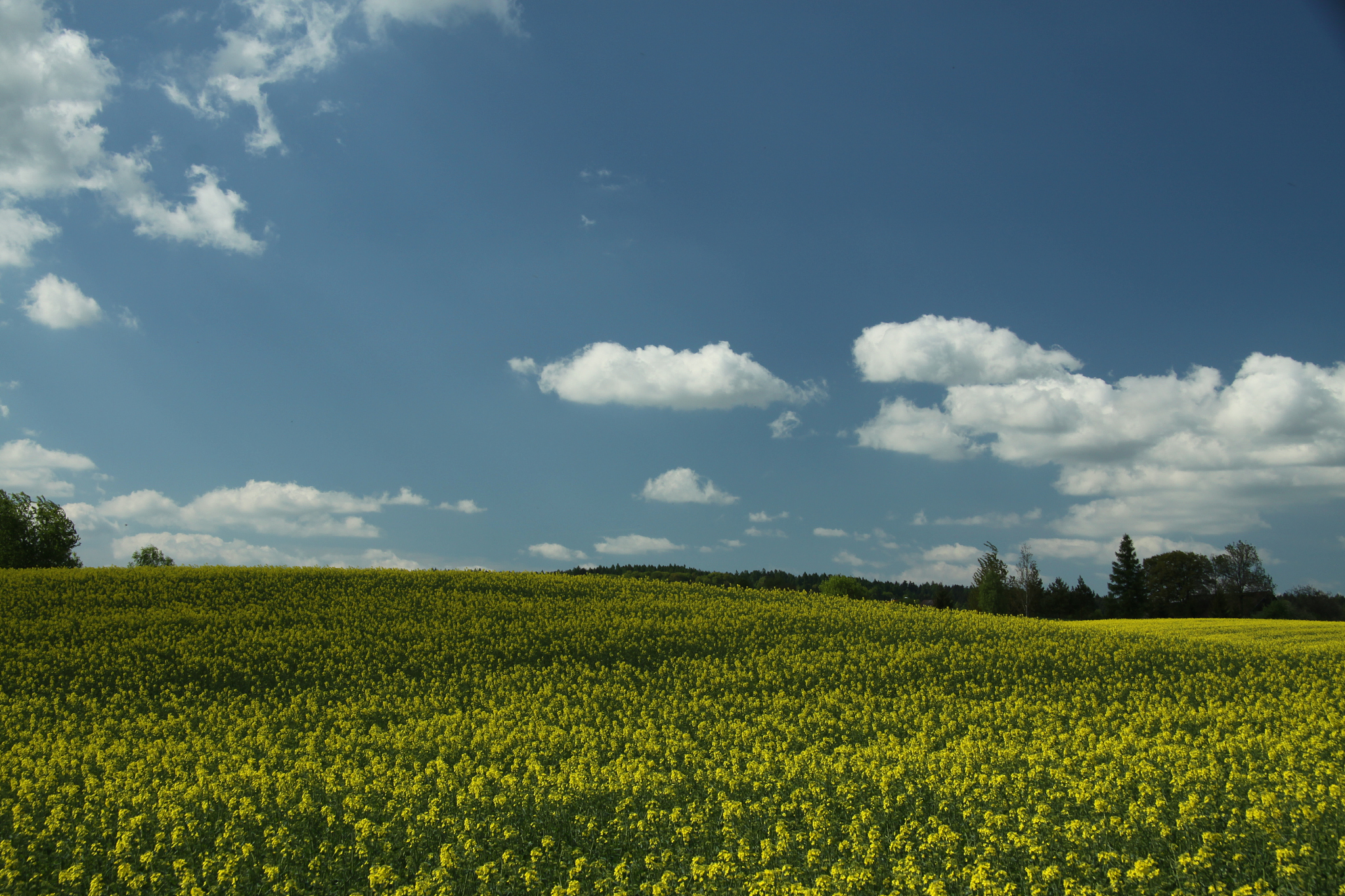 请为基于大模型的农作物疾病诊断和知识问答系统写一段专业商业计划书的商业模式从如下几方面说明公司商业模式：定位的目标客户是谁？如何开发和维护客户？定价和收入模式设计；业务开展主要流程；需要哪些核心资源；需要哪些重要合作；成本结构如何等。