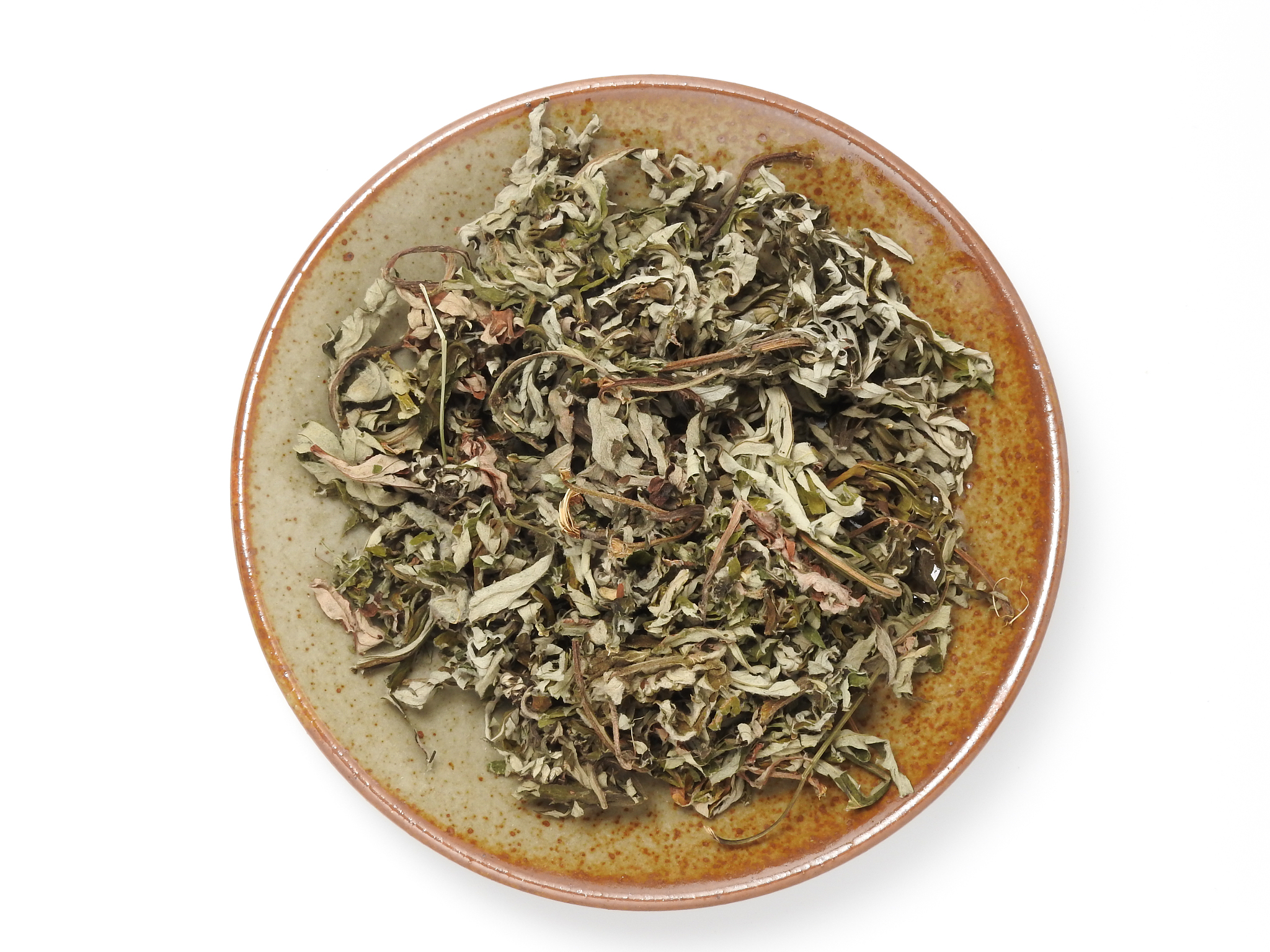 天津中医药大学汉语国际教育专业怎么样