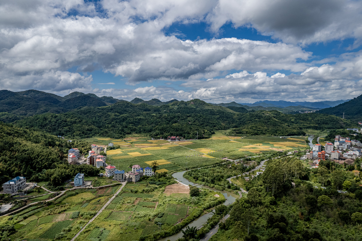 竹山县文峰乡迎东村：自然风光优美，农业资源丰富
