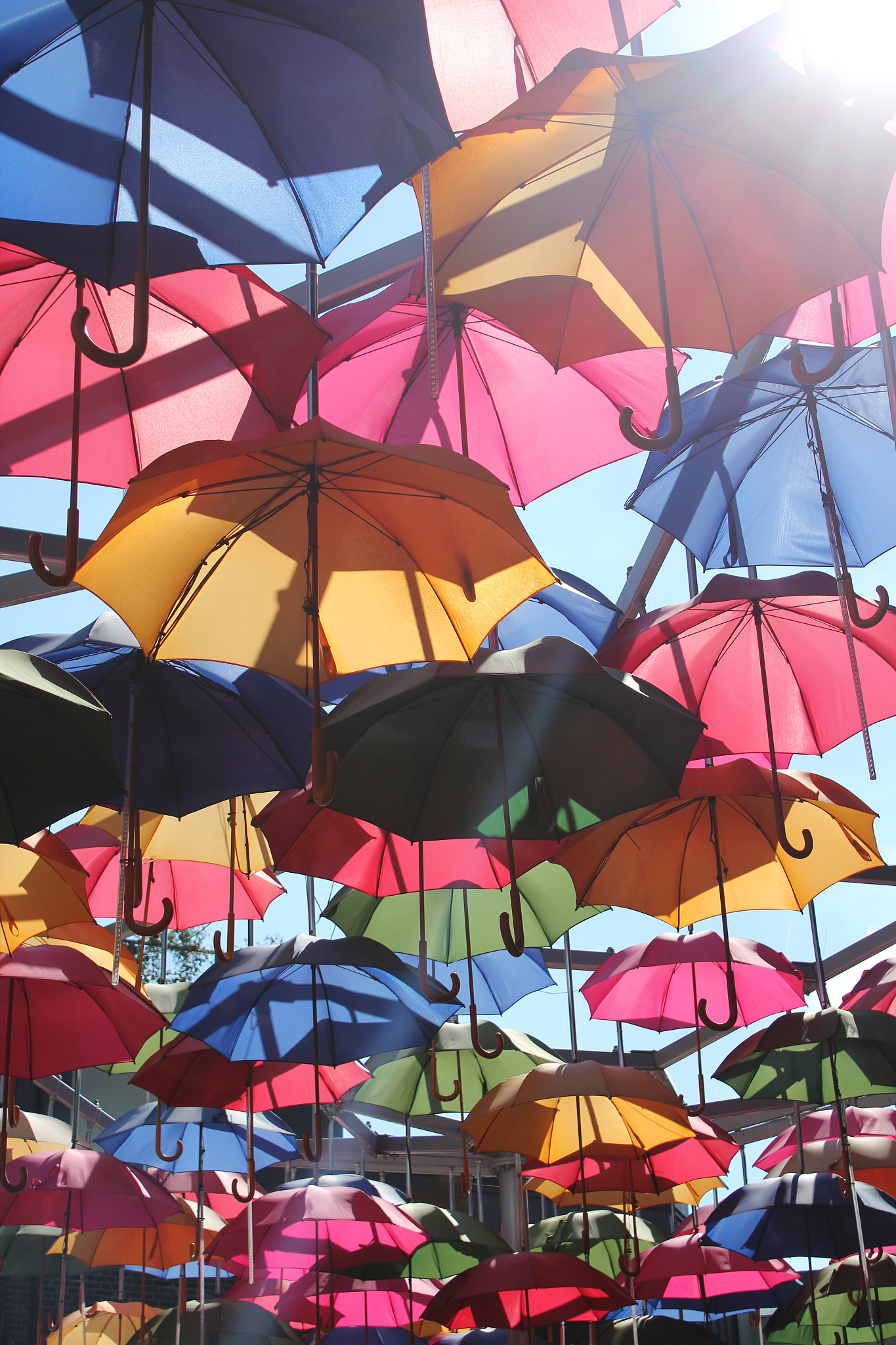 colourful umbrellas