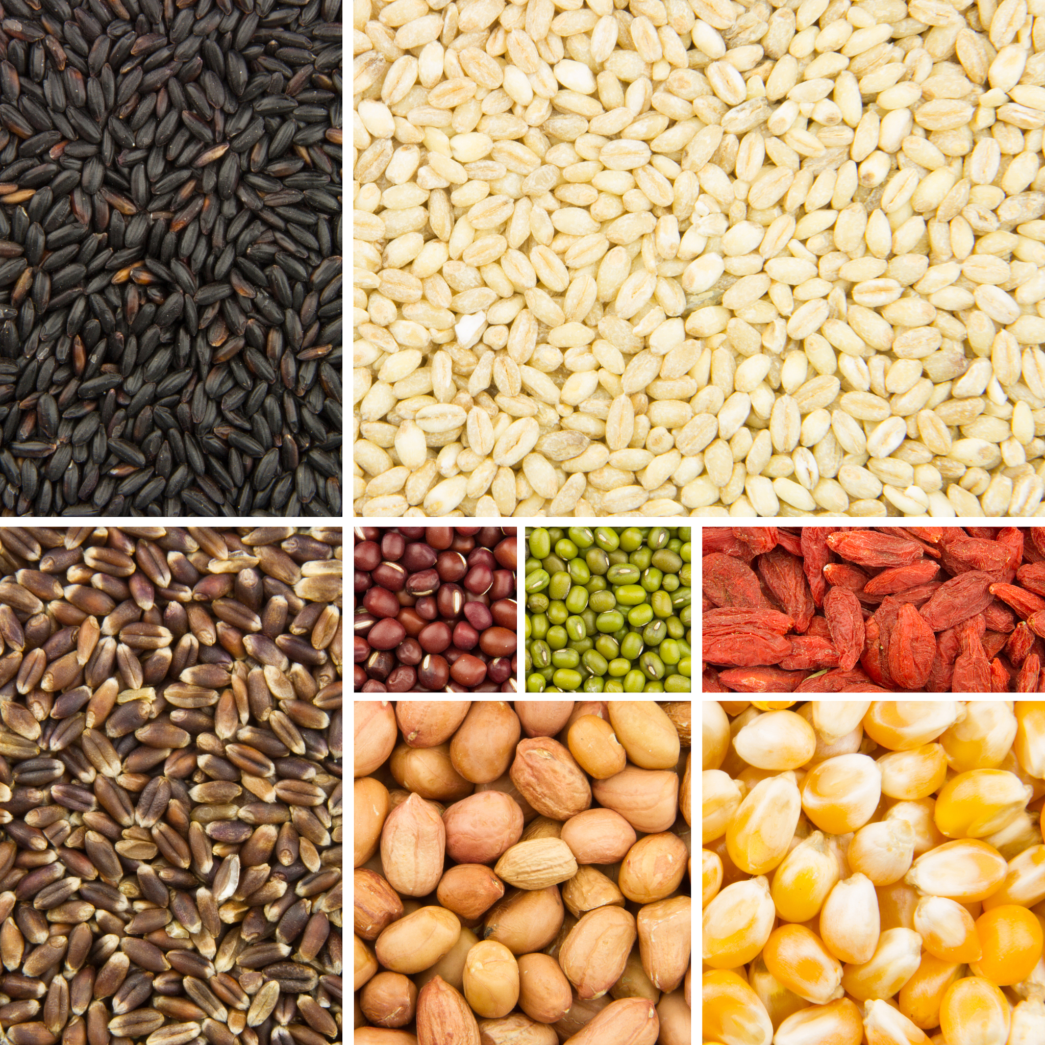 grain collection