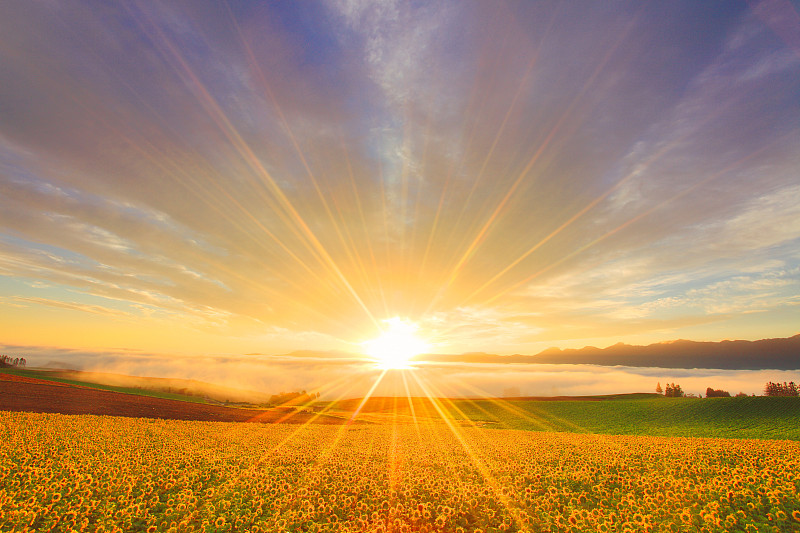 初升的太阳：希望与力量的象征