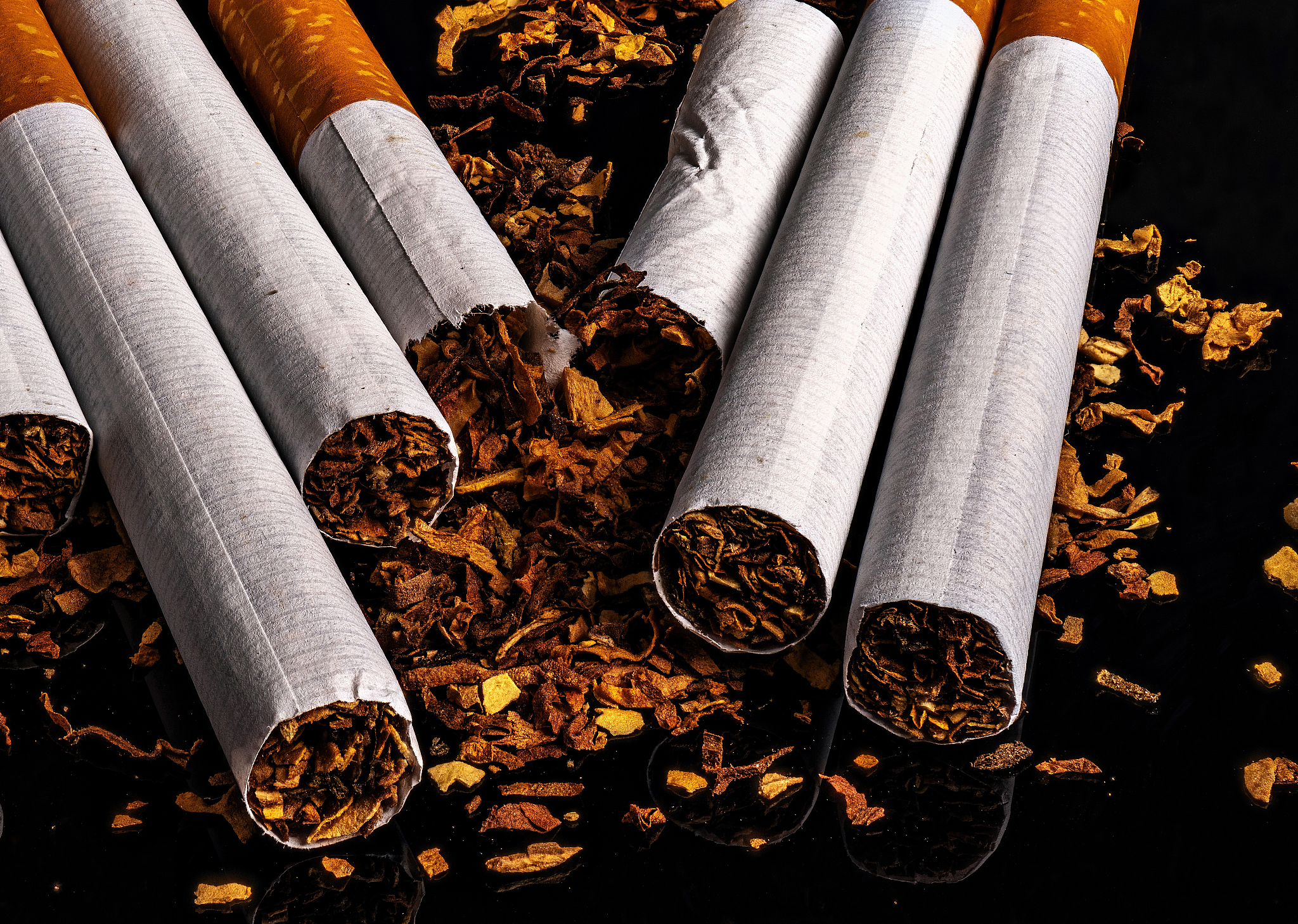 运城职业技术大学播音与主持专业好就业吗-怎么样