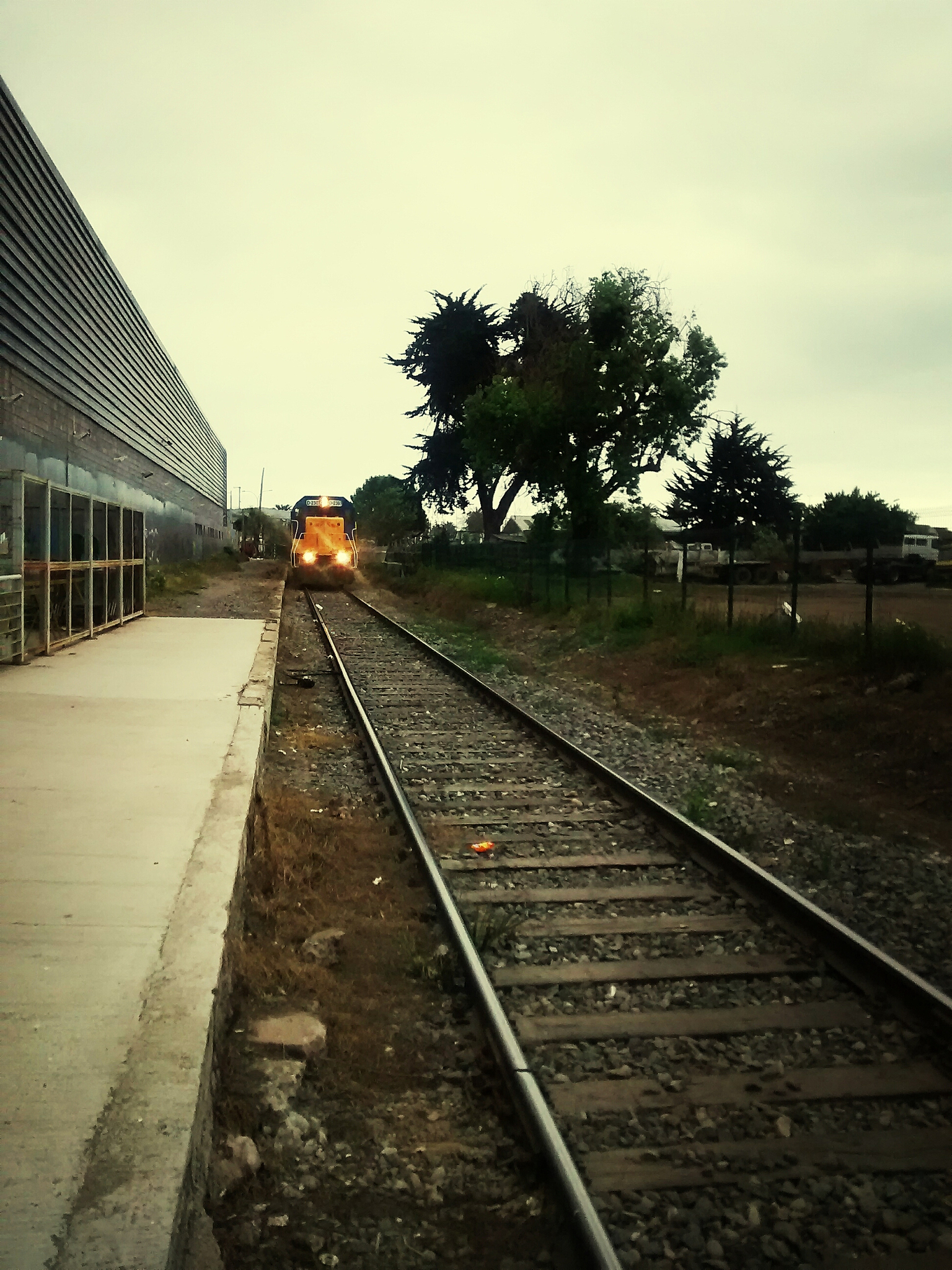 江苏2023年女生上铁路学校学什么专业好？热门专业推荐