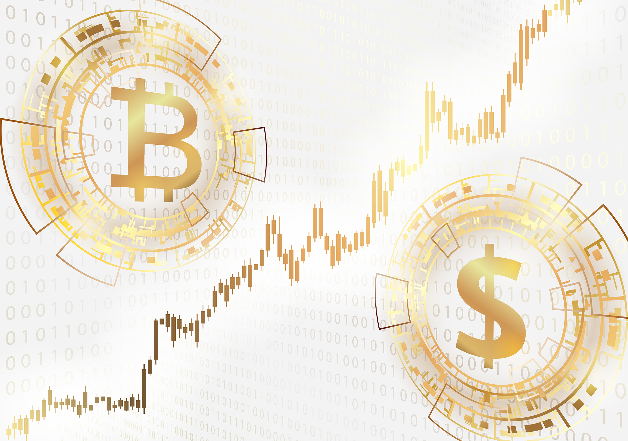 bitcoin exchange rate to the dollar.