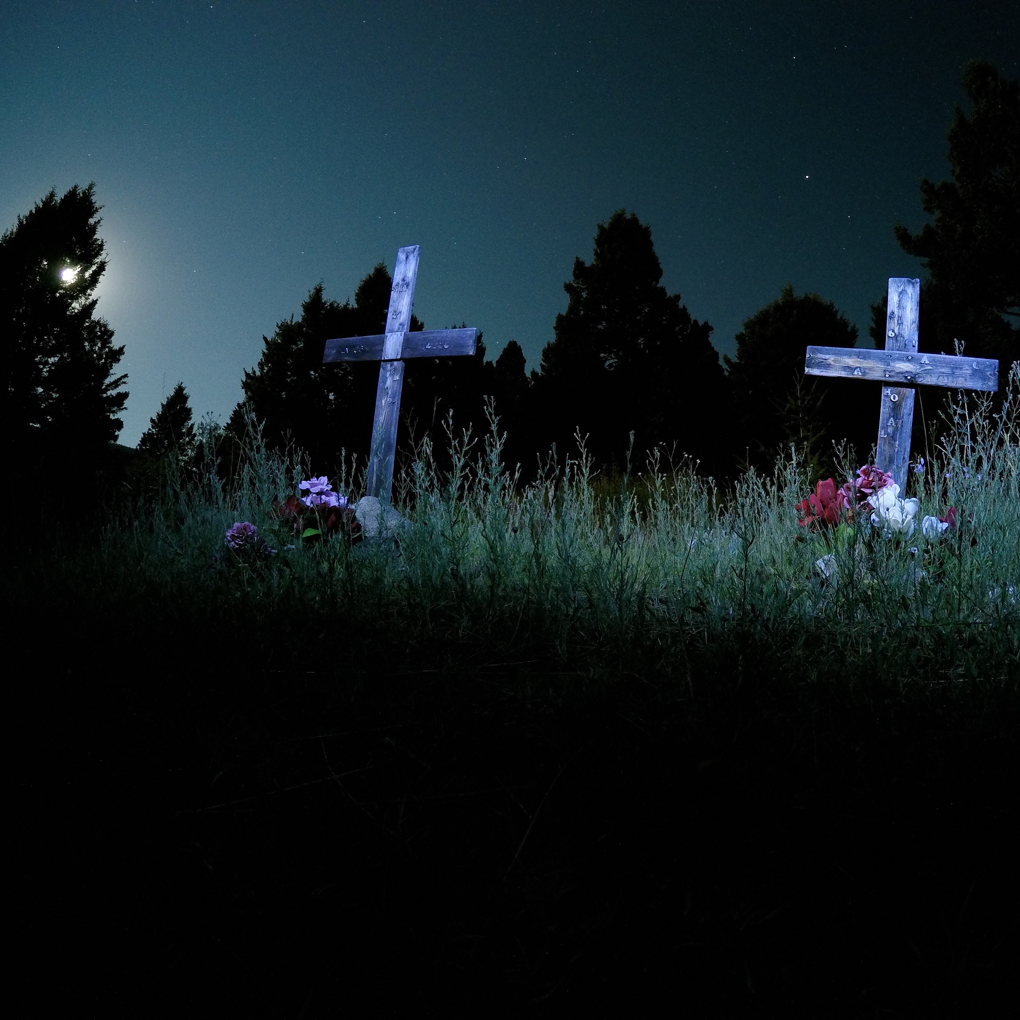 请自创backrooms层级文章文章包含生存难度层级描述出口入口在此驻扎的团体